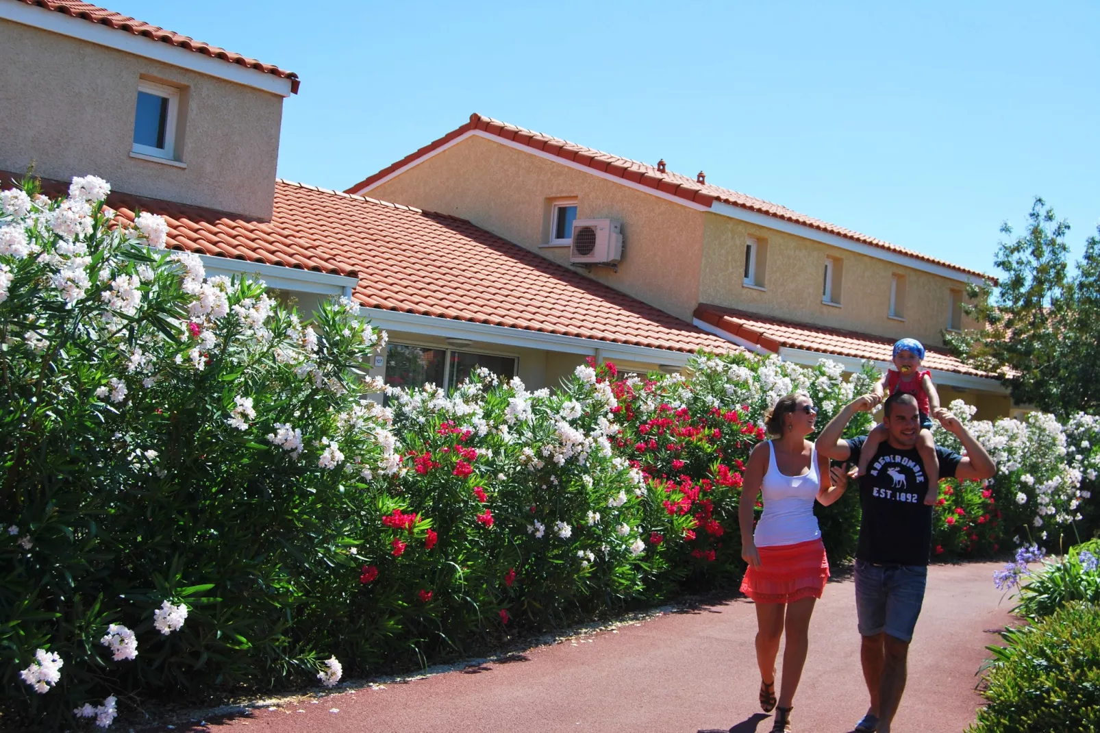 Mas de Torreilles 1-Areas summer 1km