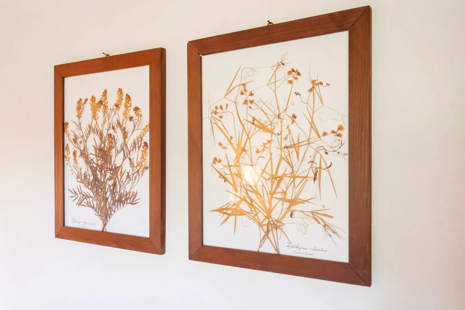 Locanda le Querce-Ambiente
