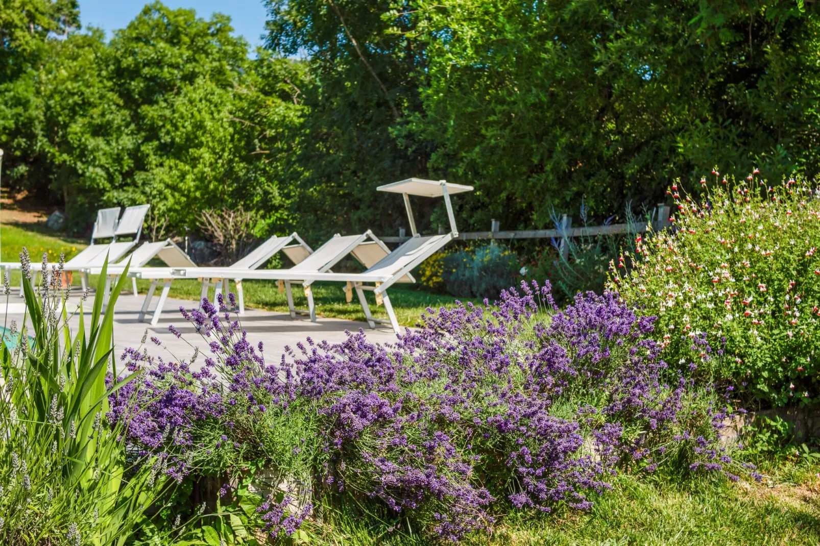 Locanda le Querce-Ambiente