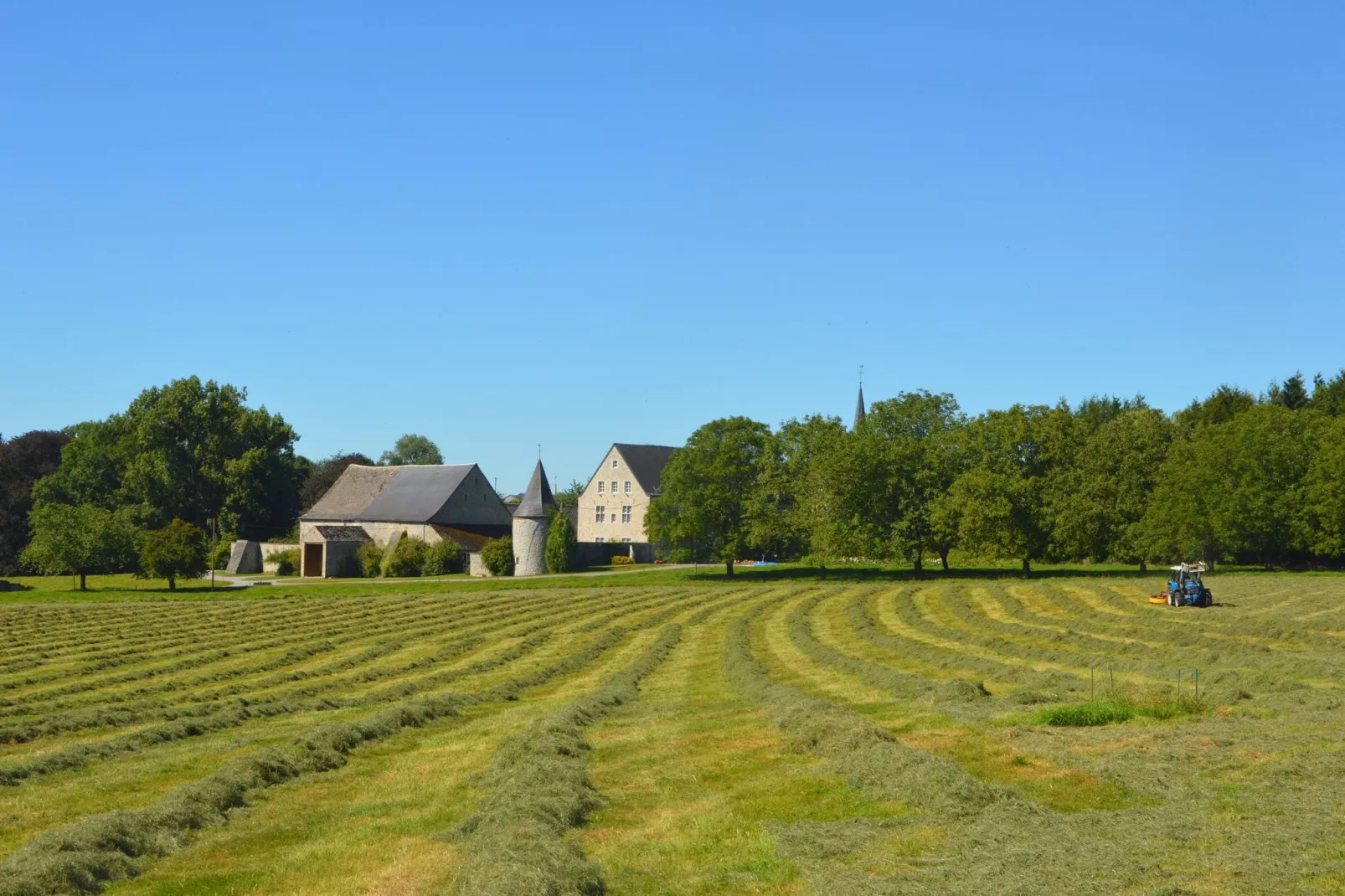 Le Bonheur-Areas summer 5km