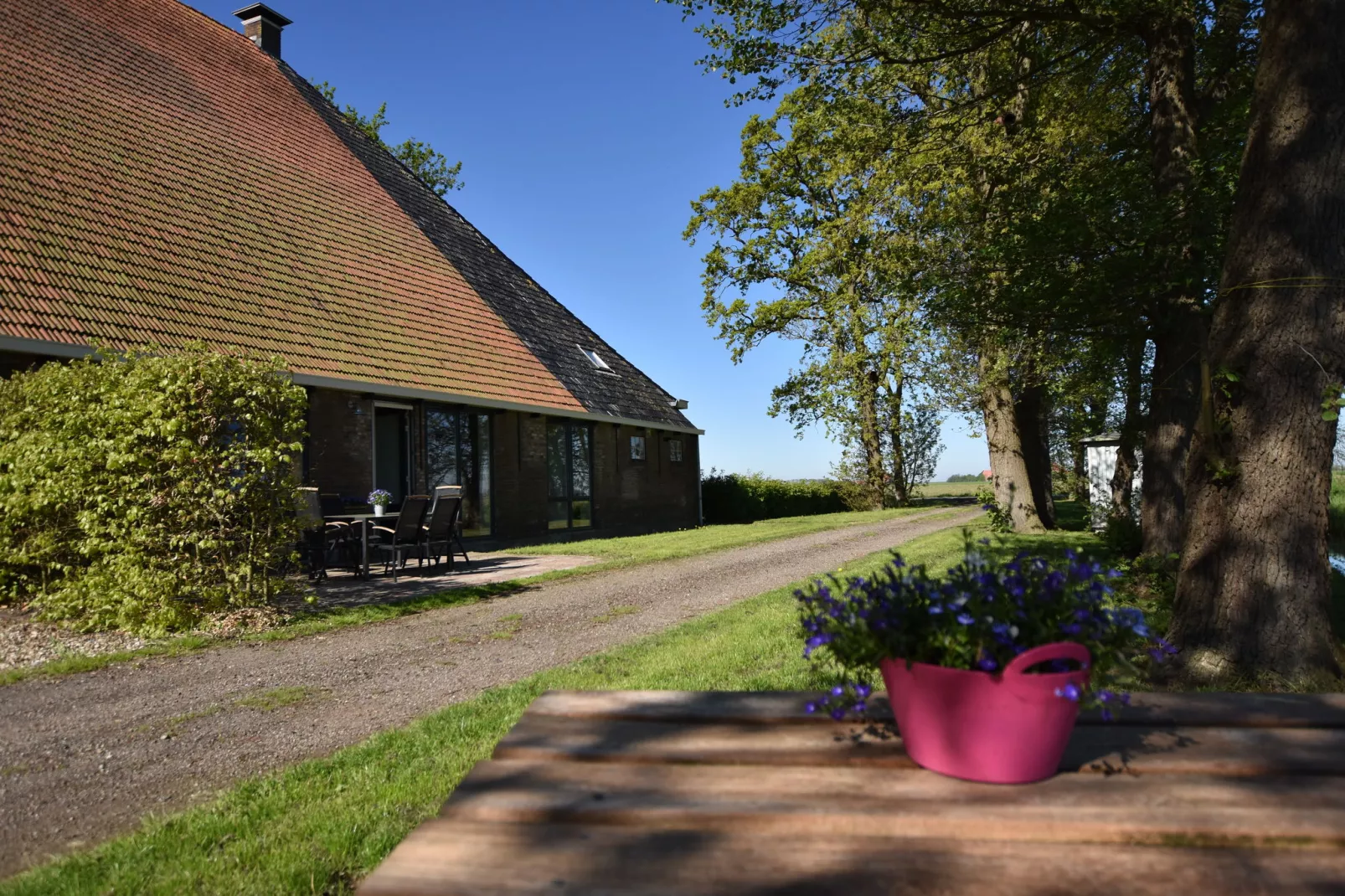 Berkenhof-Exterior summer
