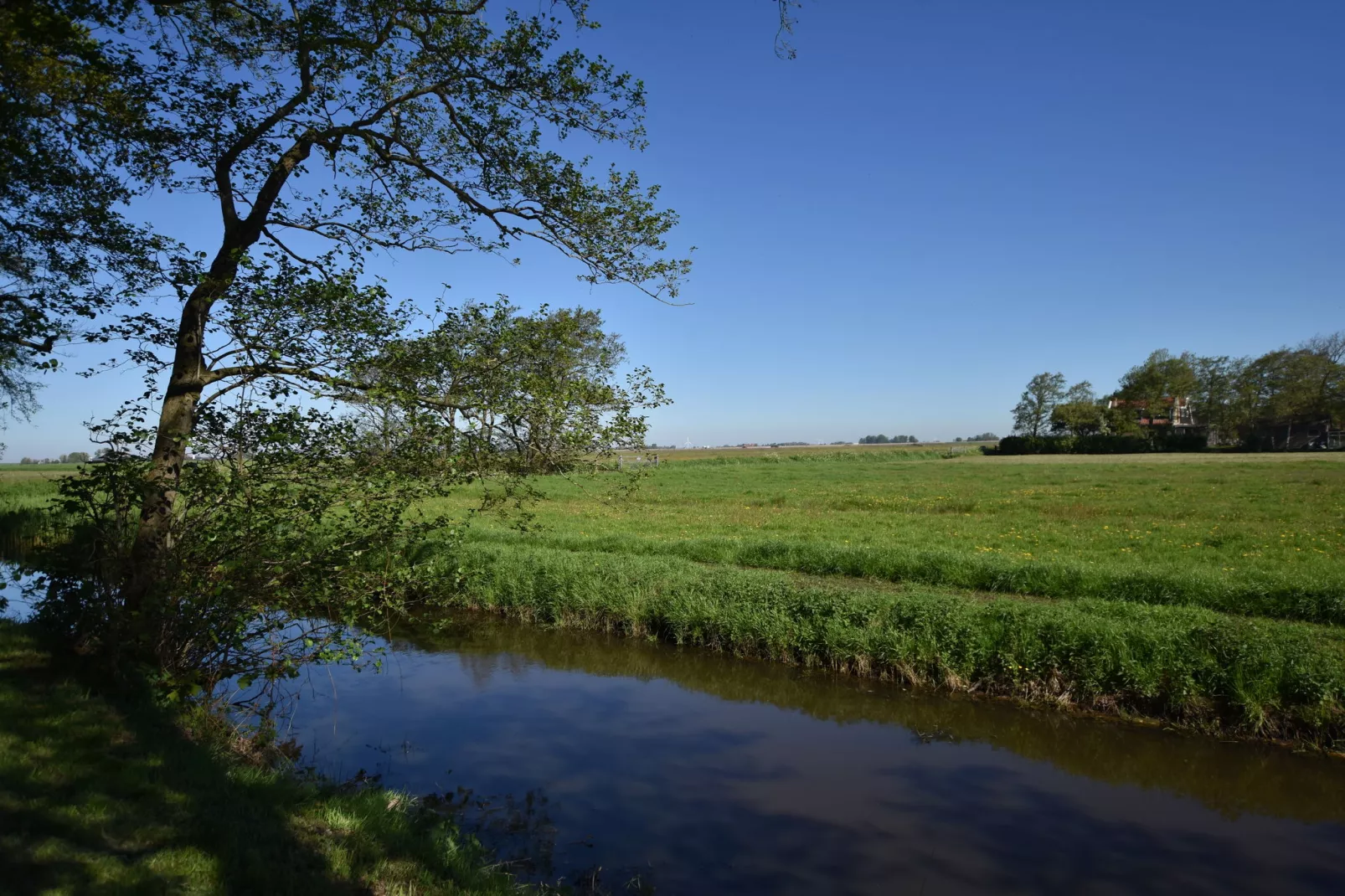 Berkenhof-View summer