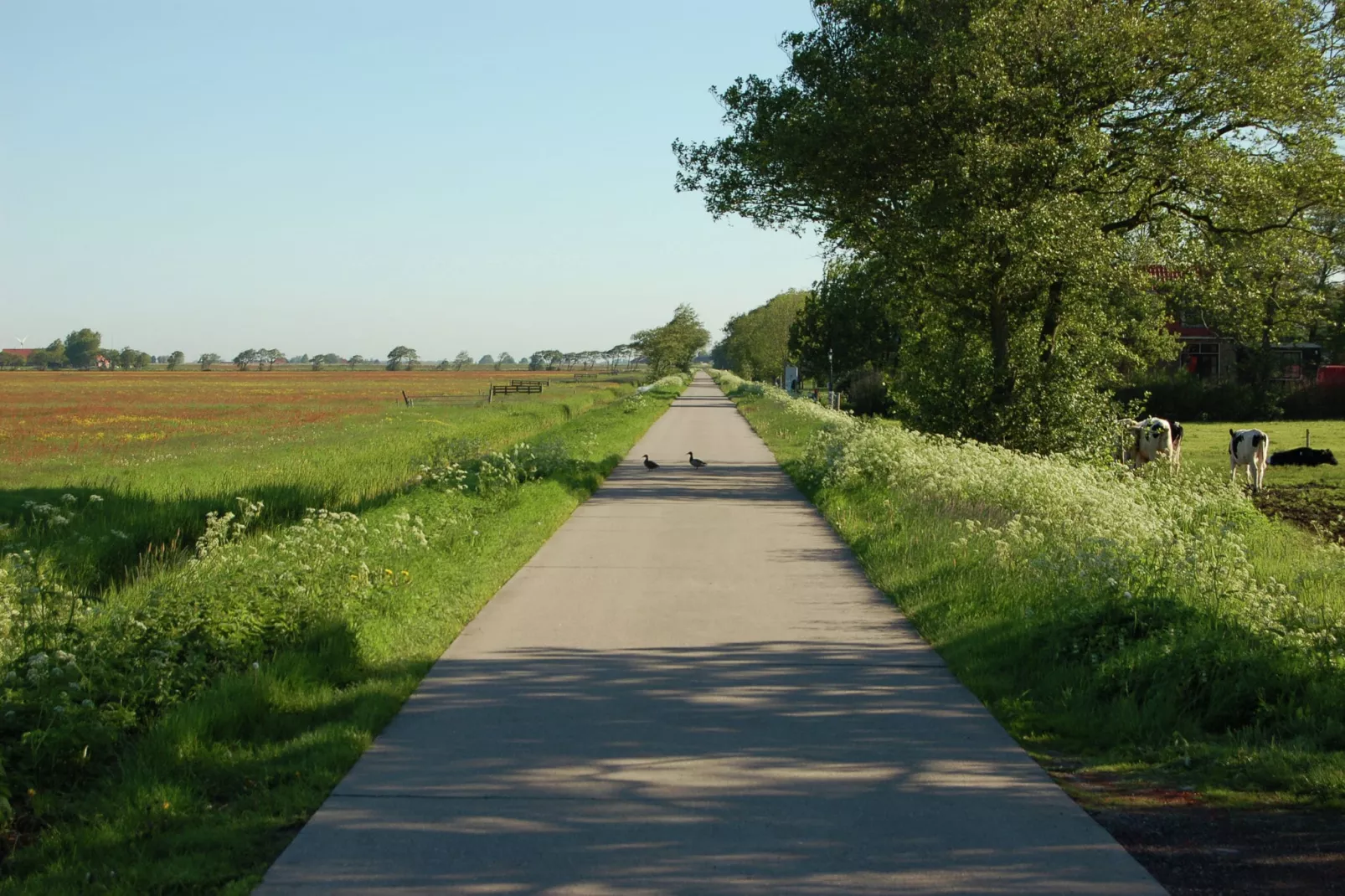 Berkenhof-Areas summer 1km
