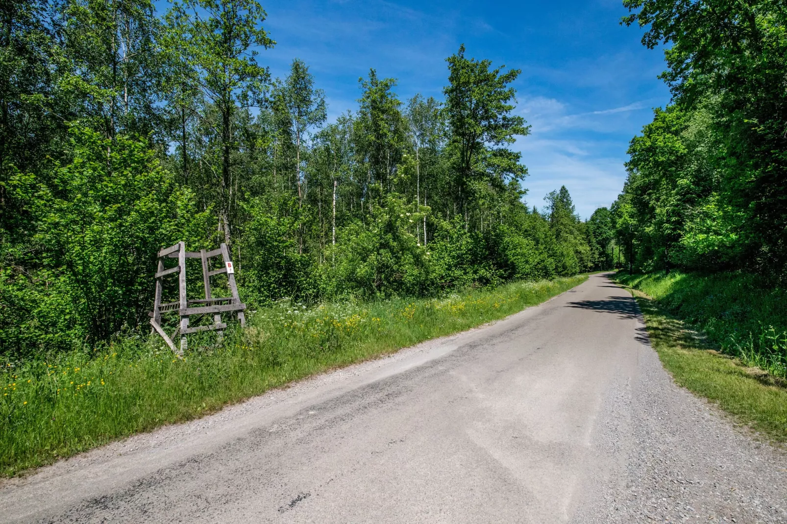 Rémus-Gebiete Sommer 1 km