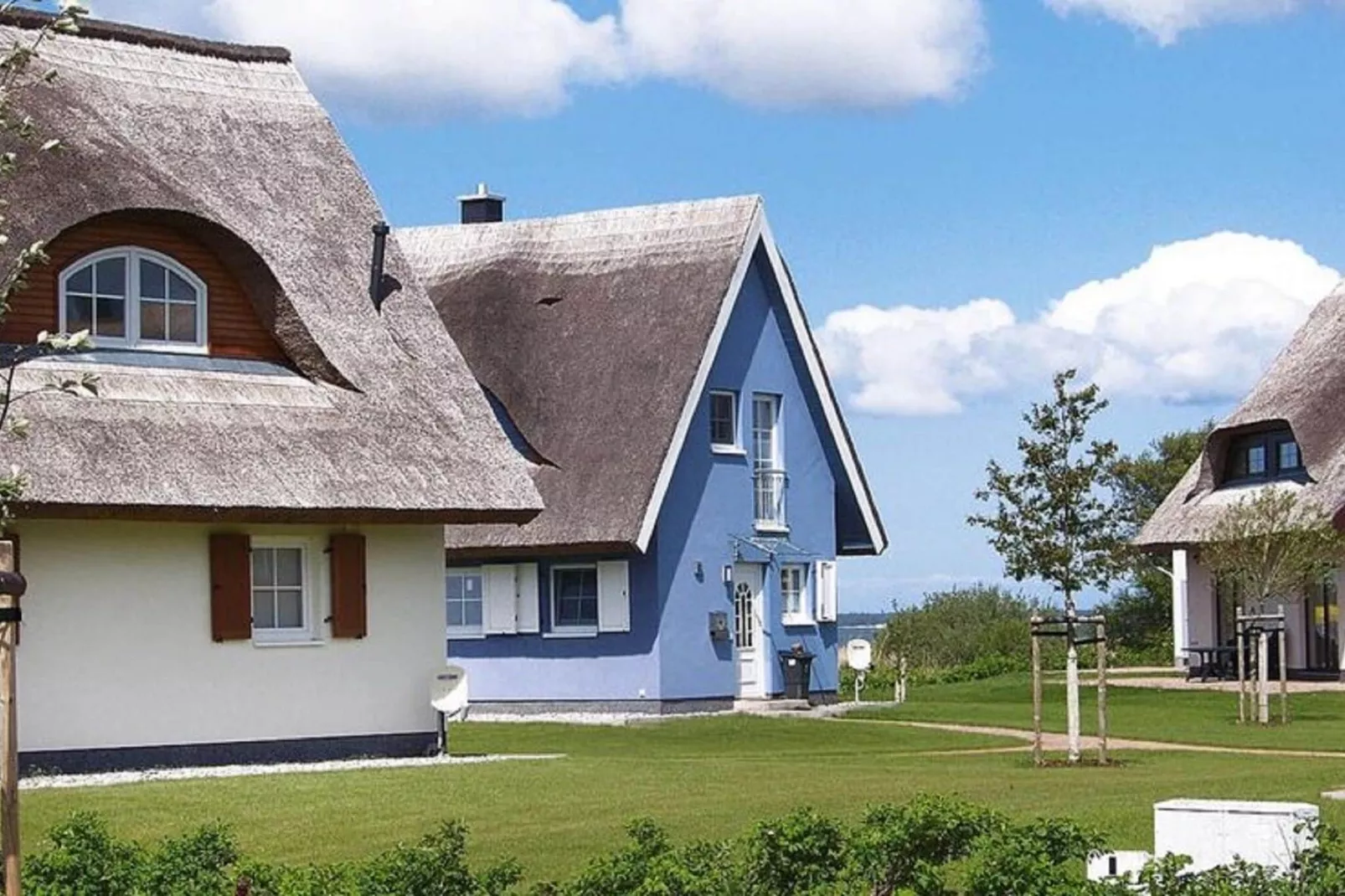 Haus am Boddenufer-Exterior summer