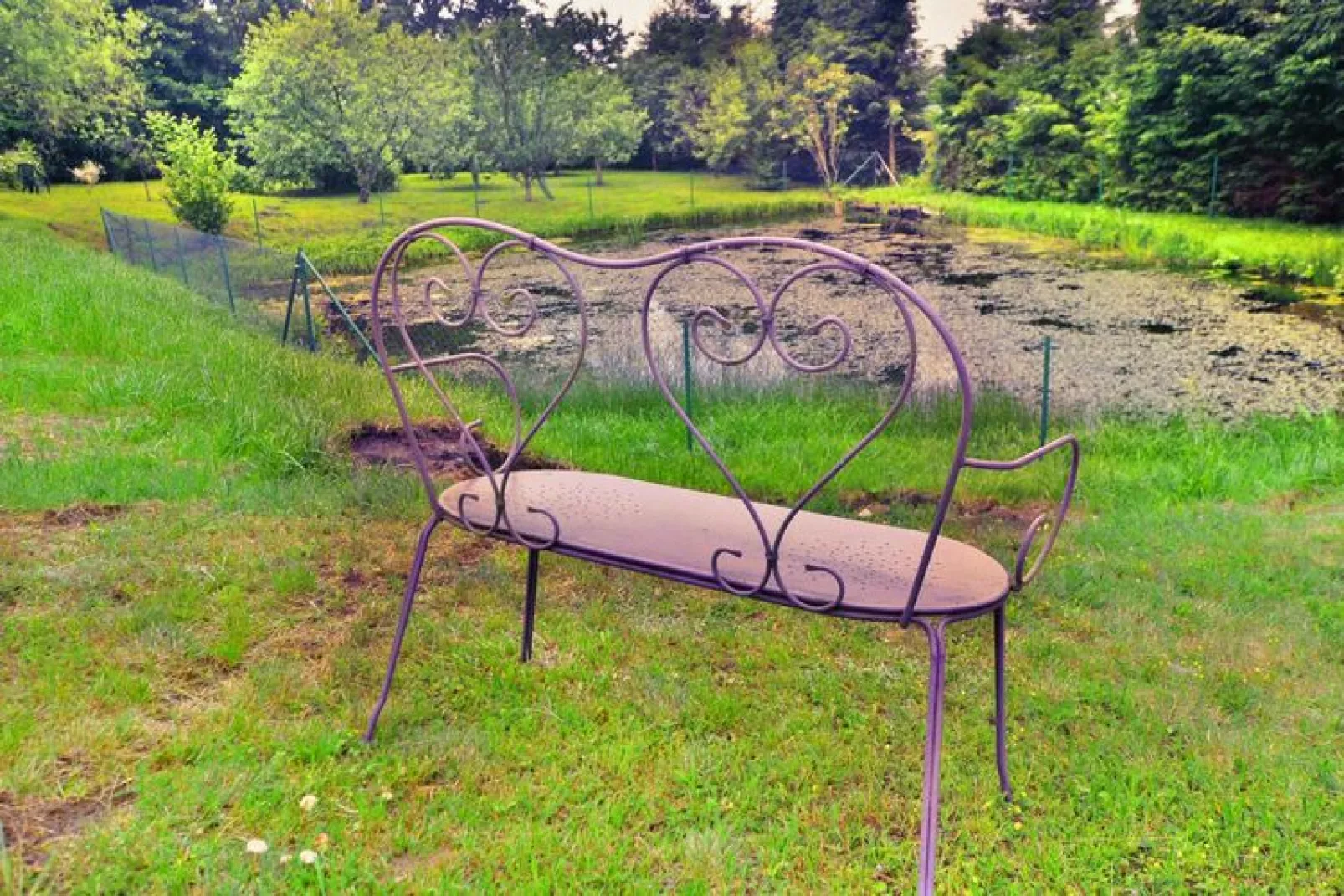 Komfortowy dom dla 15 osób Święcianowo-Gardens summer