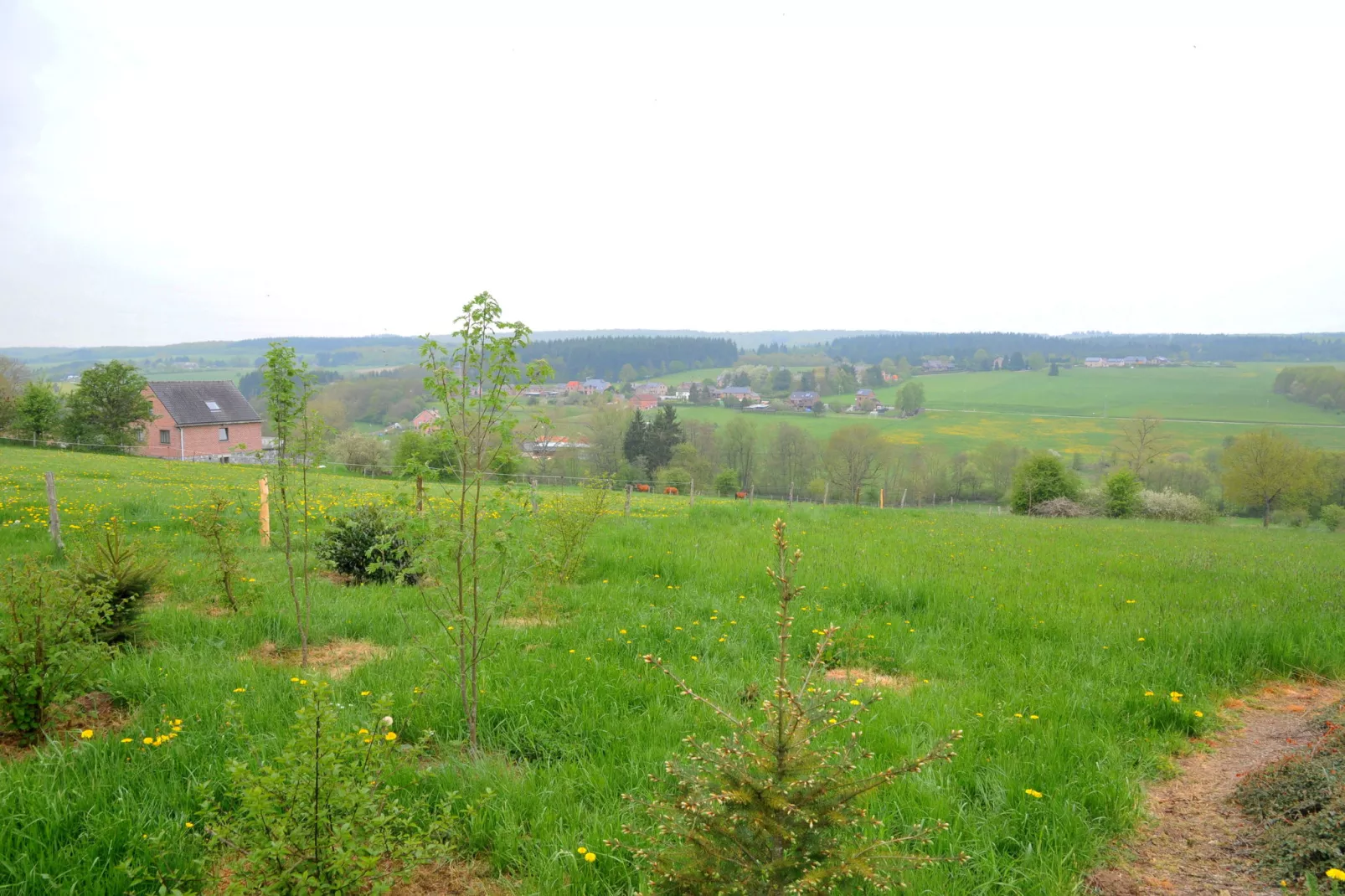 Laloux-View summer