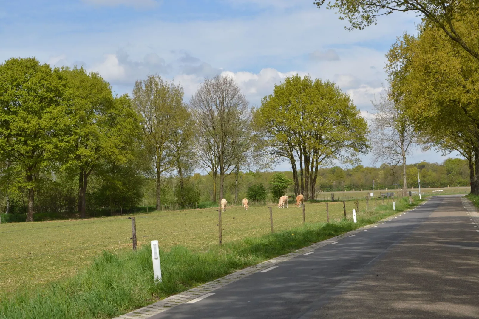 Vosseven 73 Maretak-Areas summer 5km