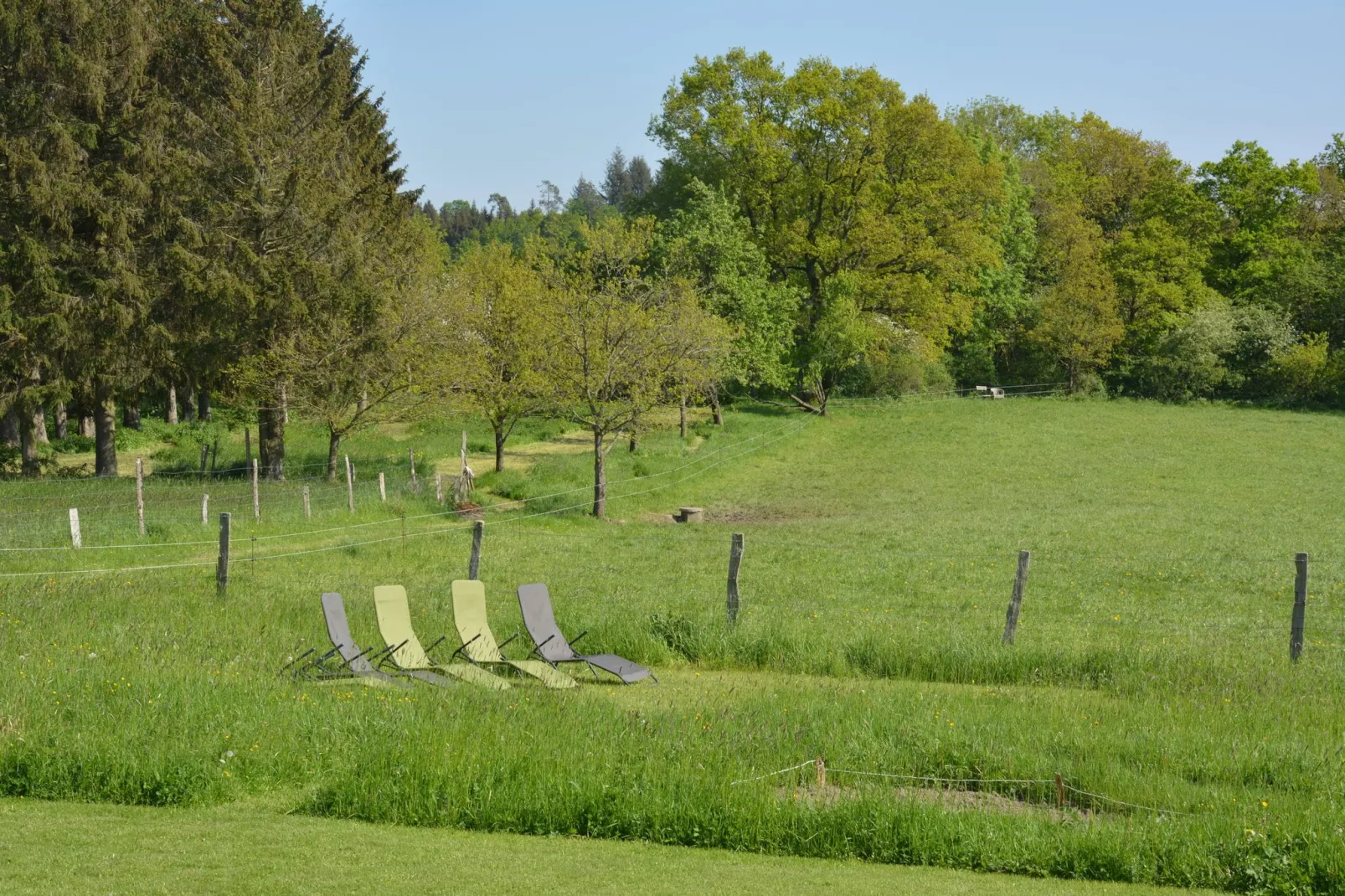 La Moineaudière-Gardens summer