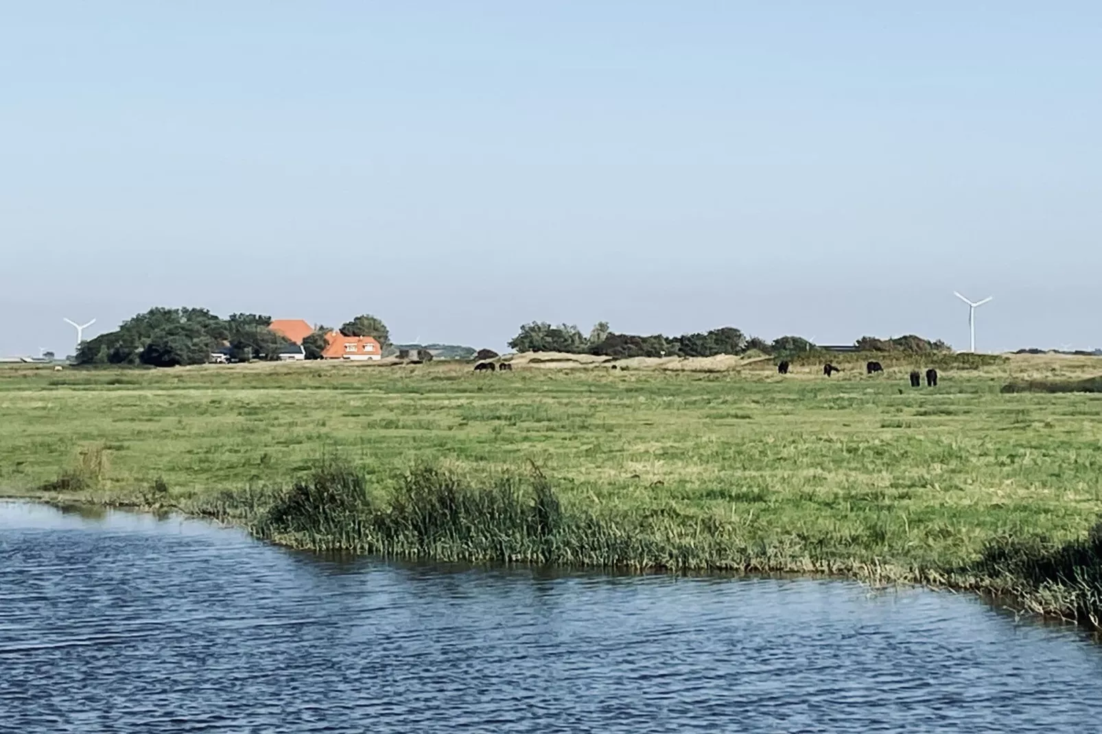 De Biotoop-Areas summer 1km