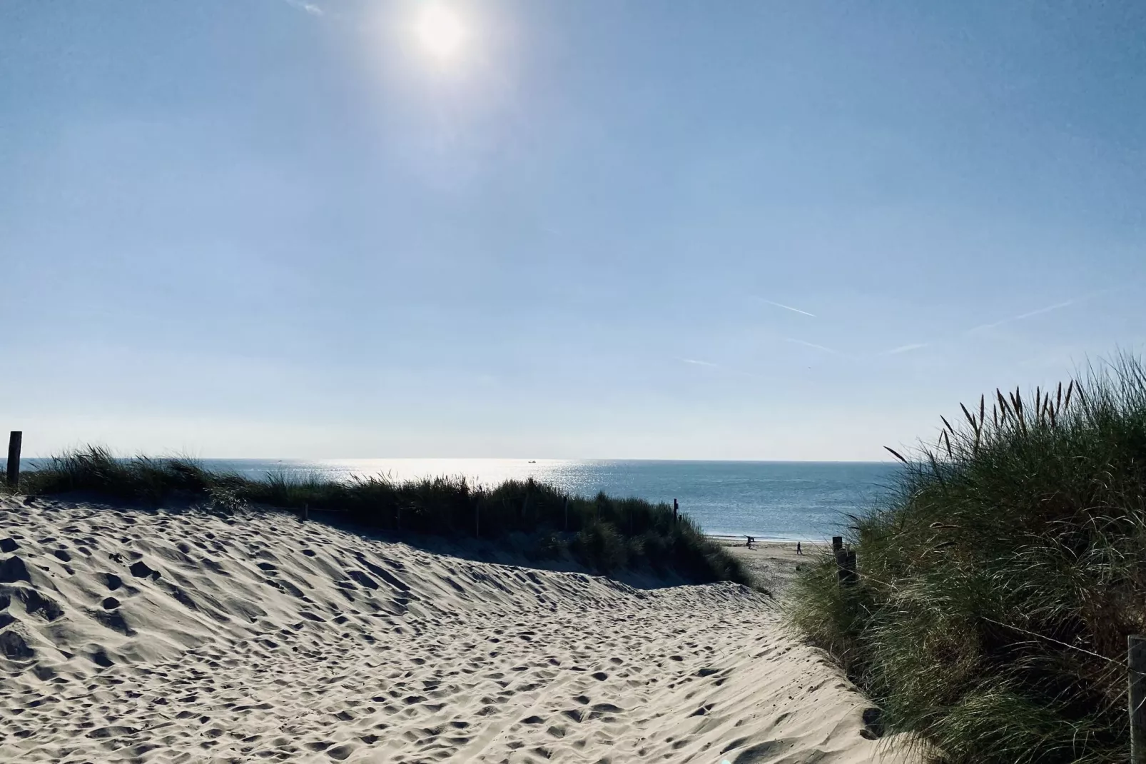 De Biotoop-Areas summer 1km