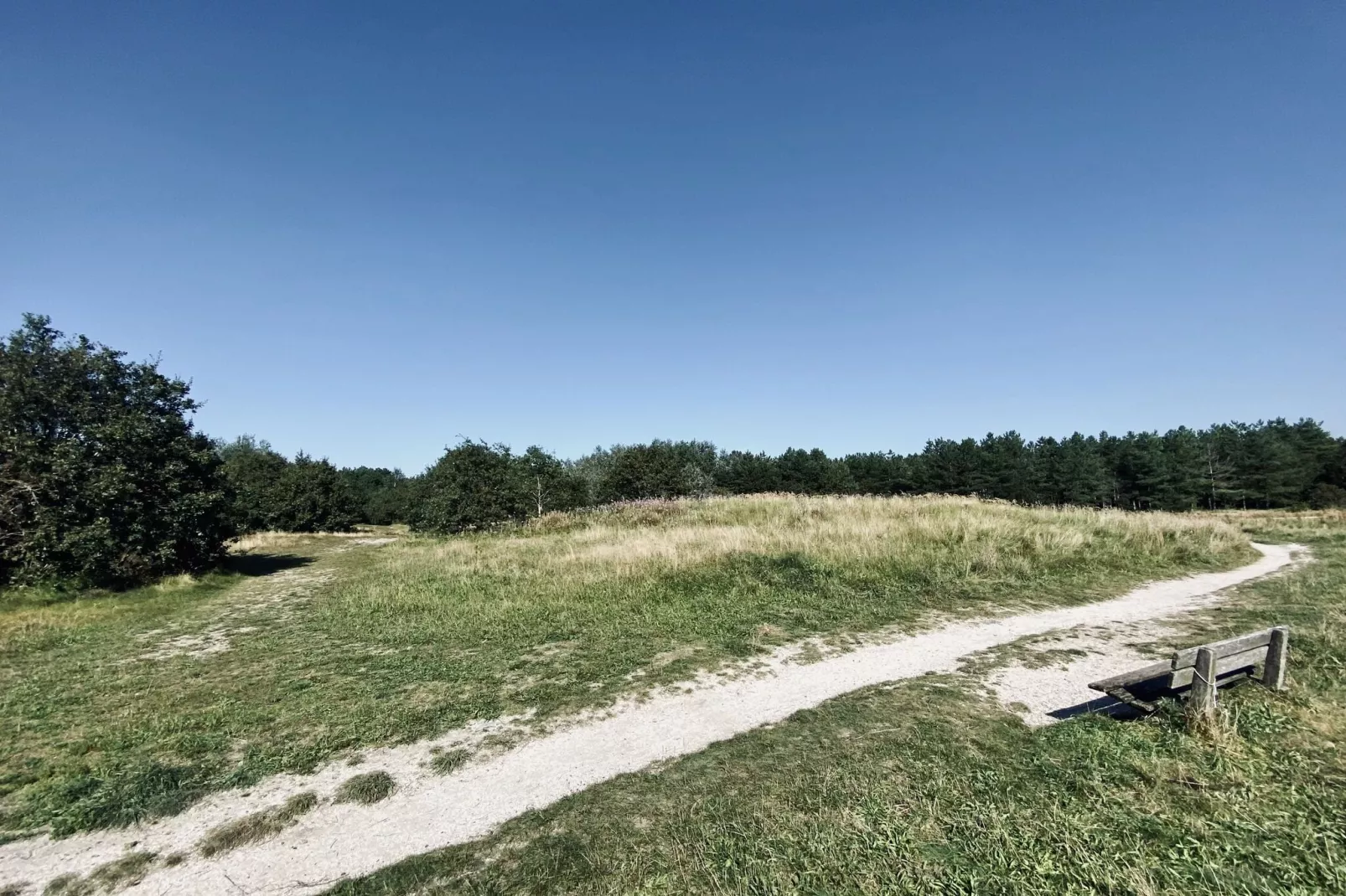 De Biotoop-Areas summer 1km