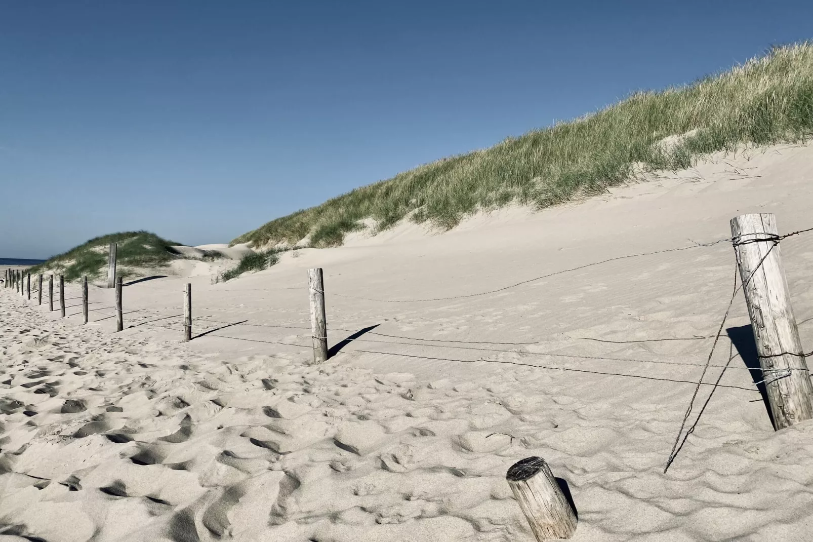 De Biotoop-Areas summer 1km