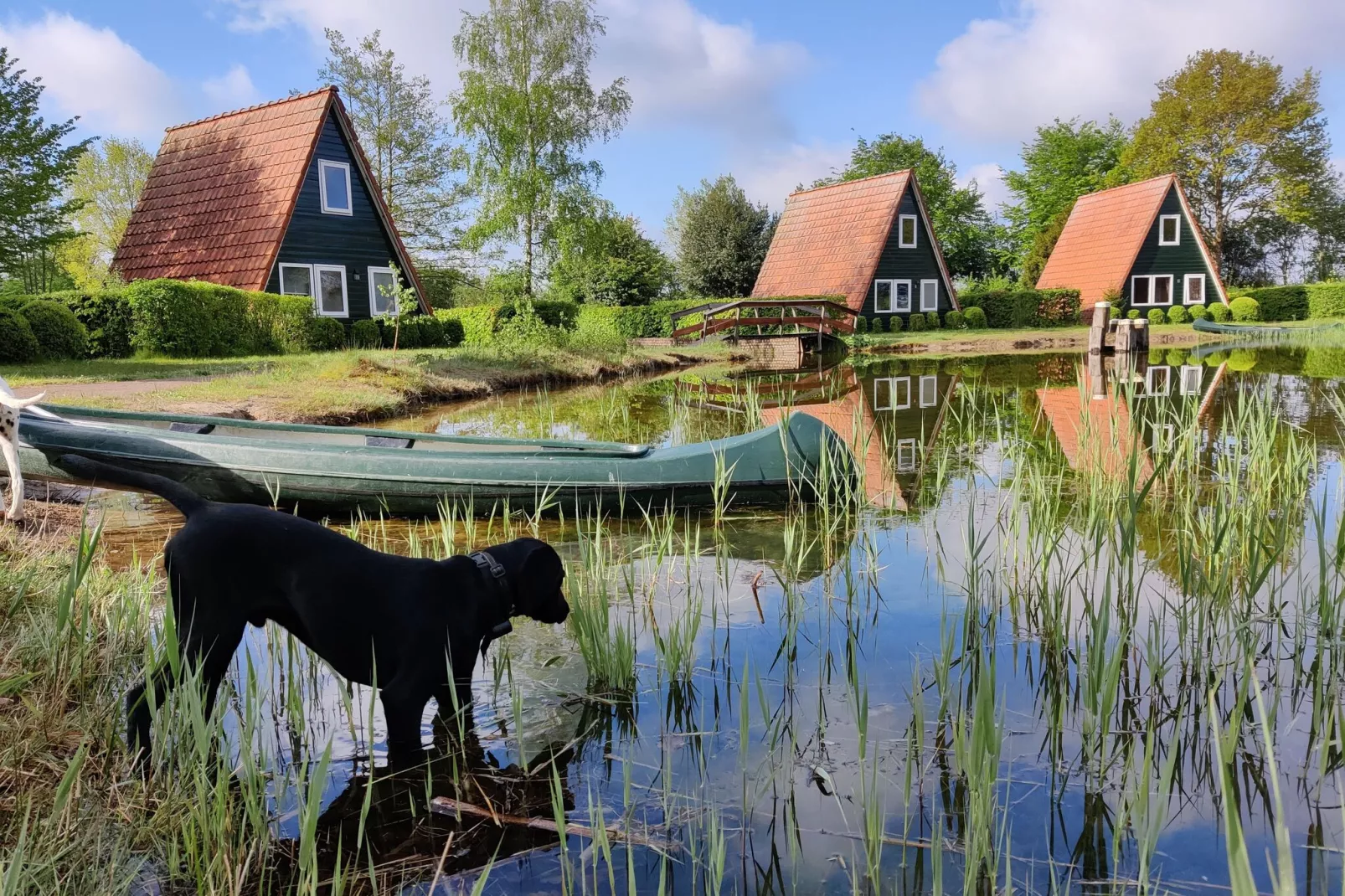 Vakantiepark Eigen Wijze 1-Areas summer 1km