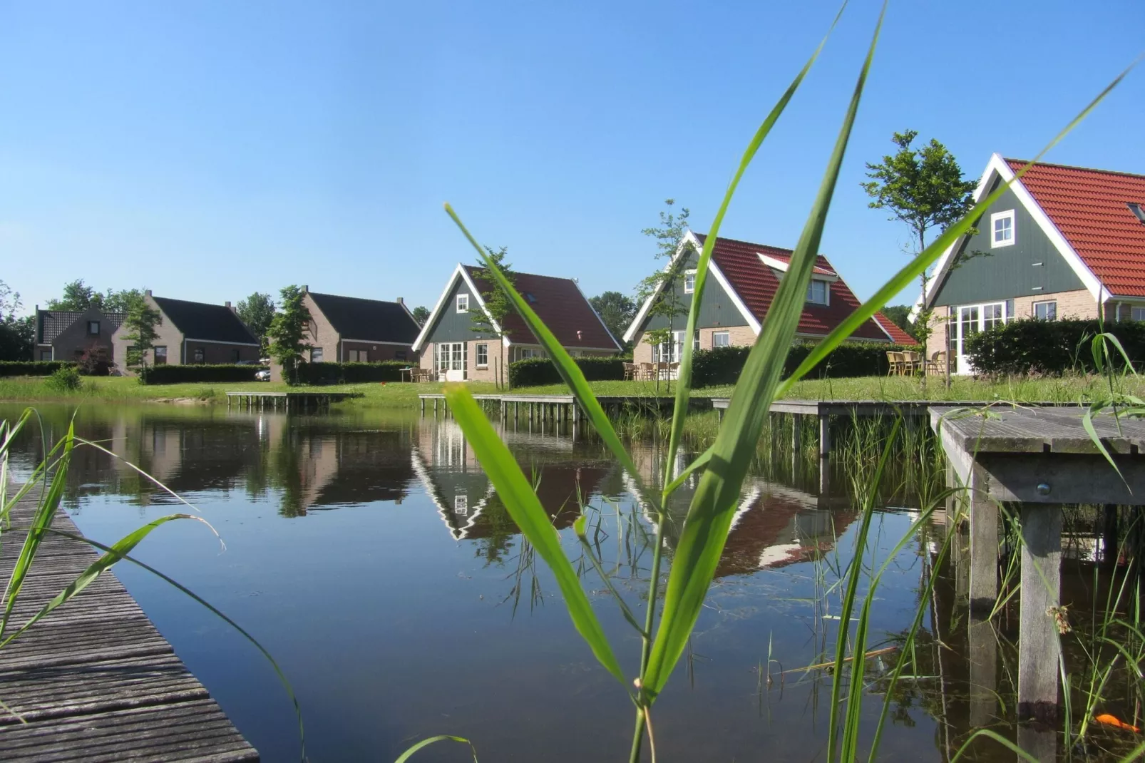 Vakantiepark Eigen Wijze 5-Exterior summer