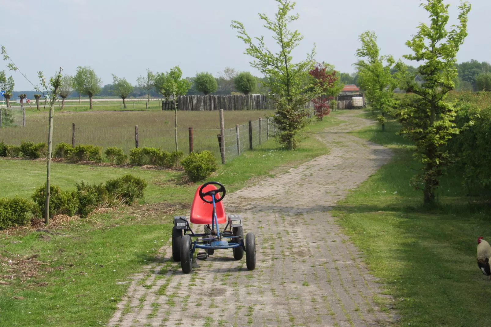 Vakantiepark Eigen Wijze 5-Areas summer 1km