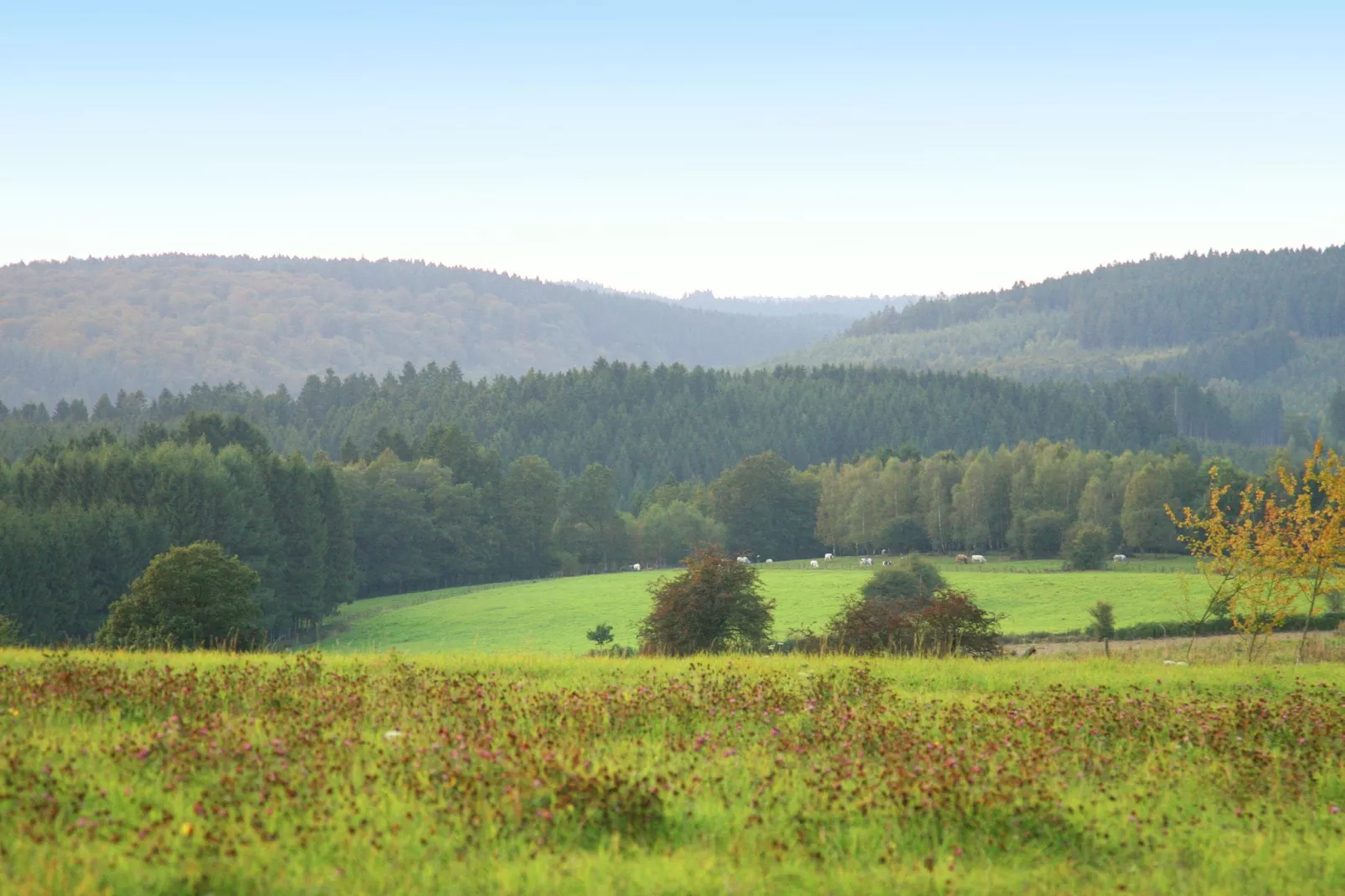 Amandi-Zones d'été à 20 km