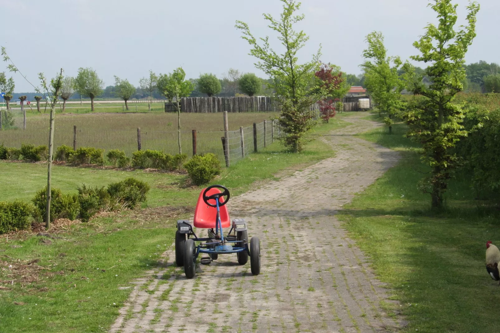 Vakantiepark Eigen Wijze 4-Areas summer 1km
