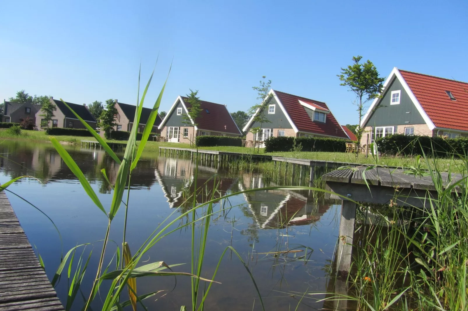 Vakantiepark Eigen Wijze 3-Exterior summer