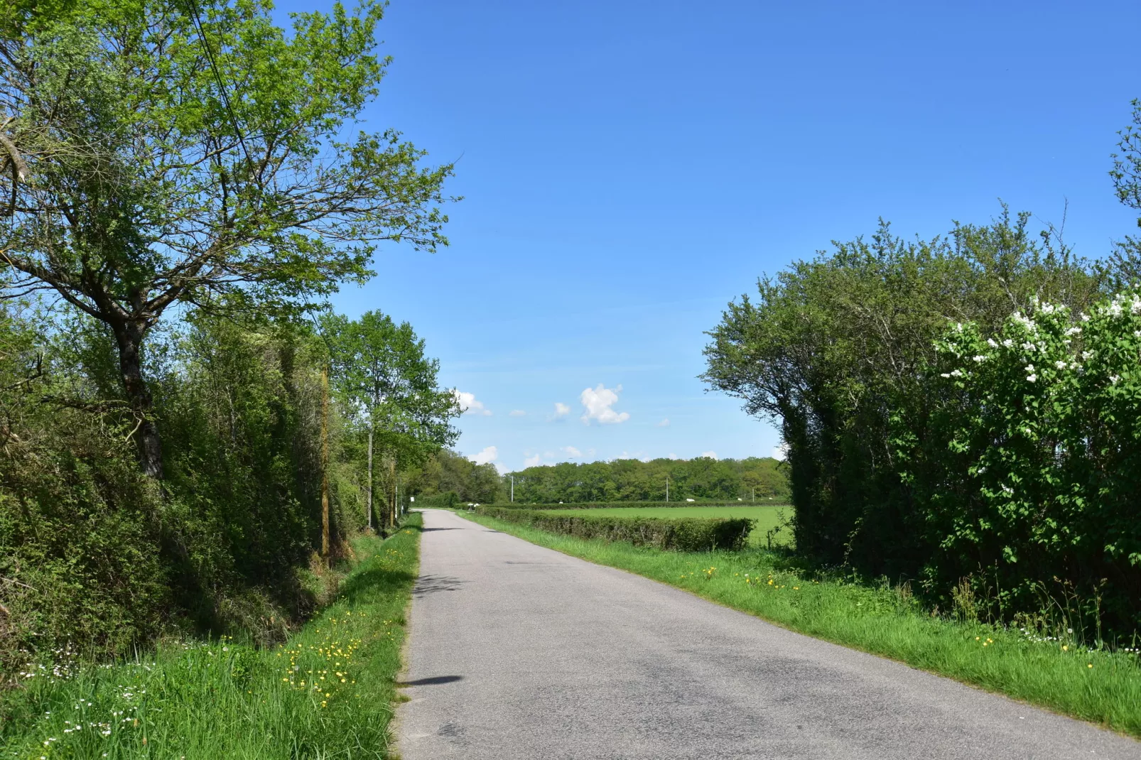 La Chantenay-Areas summer 1km