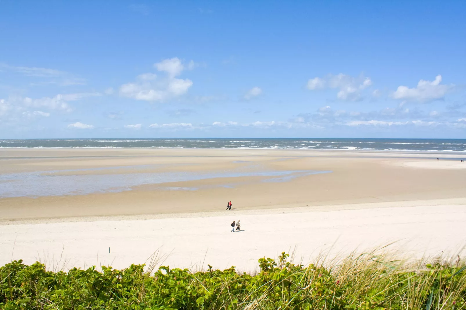 Beukenlaan 1-Gebiete Sommer 5 km