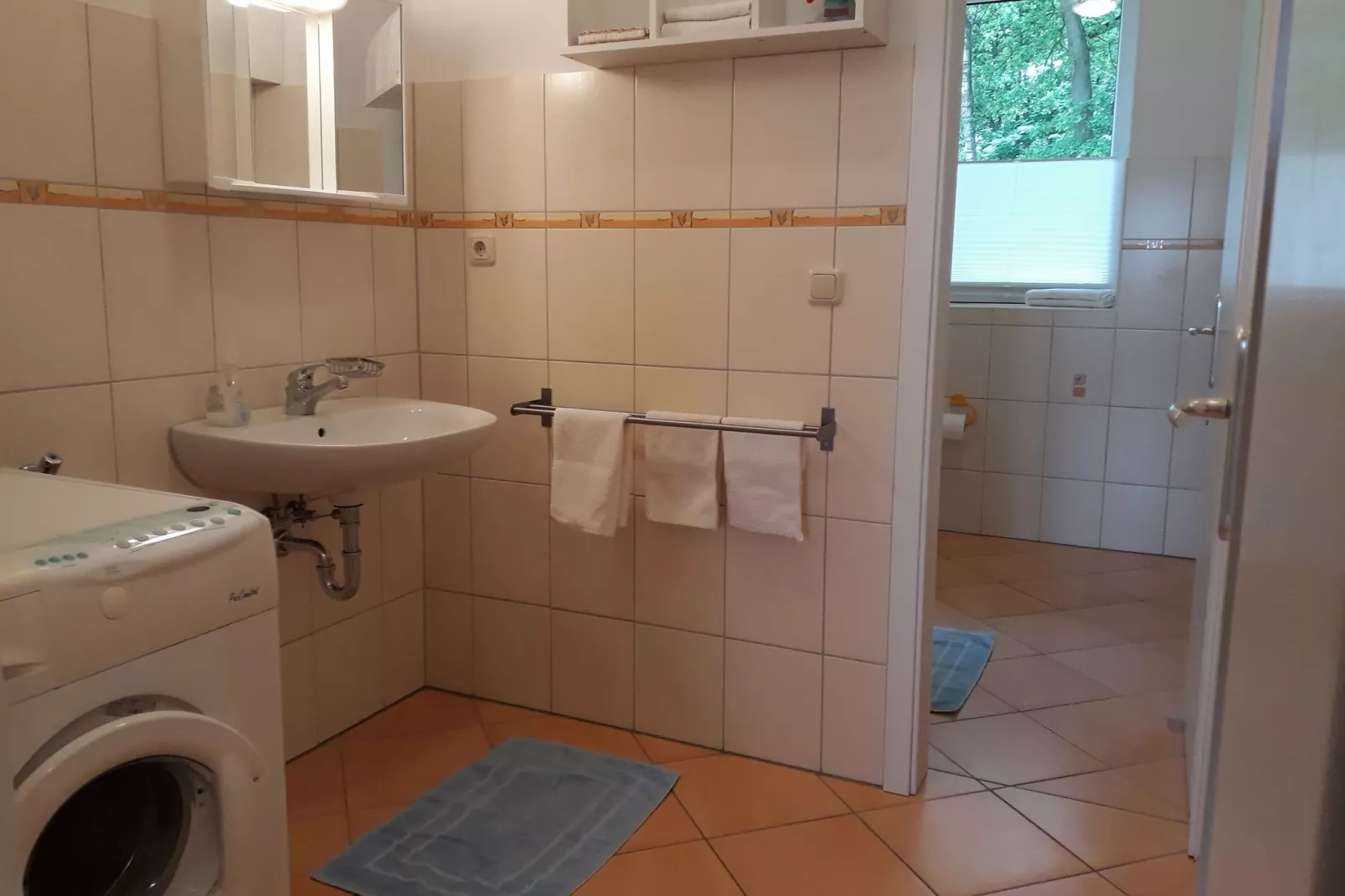 Am Haflingergestüt-Bathroom
