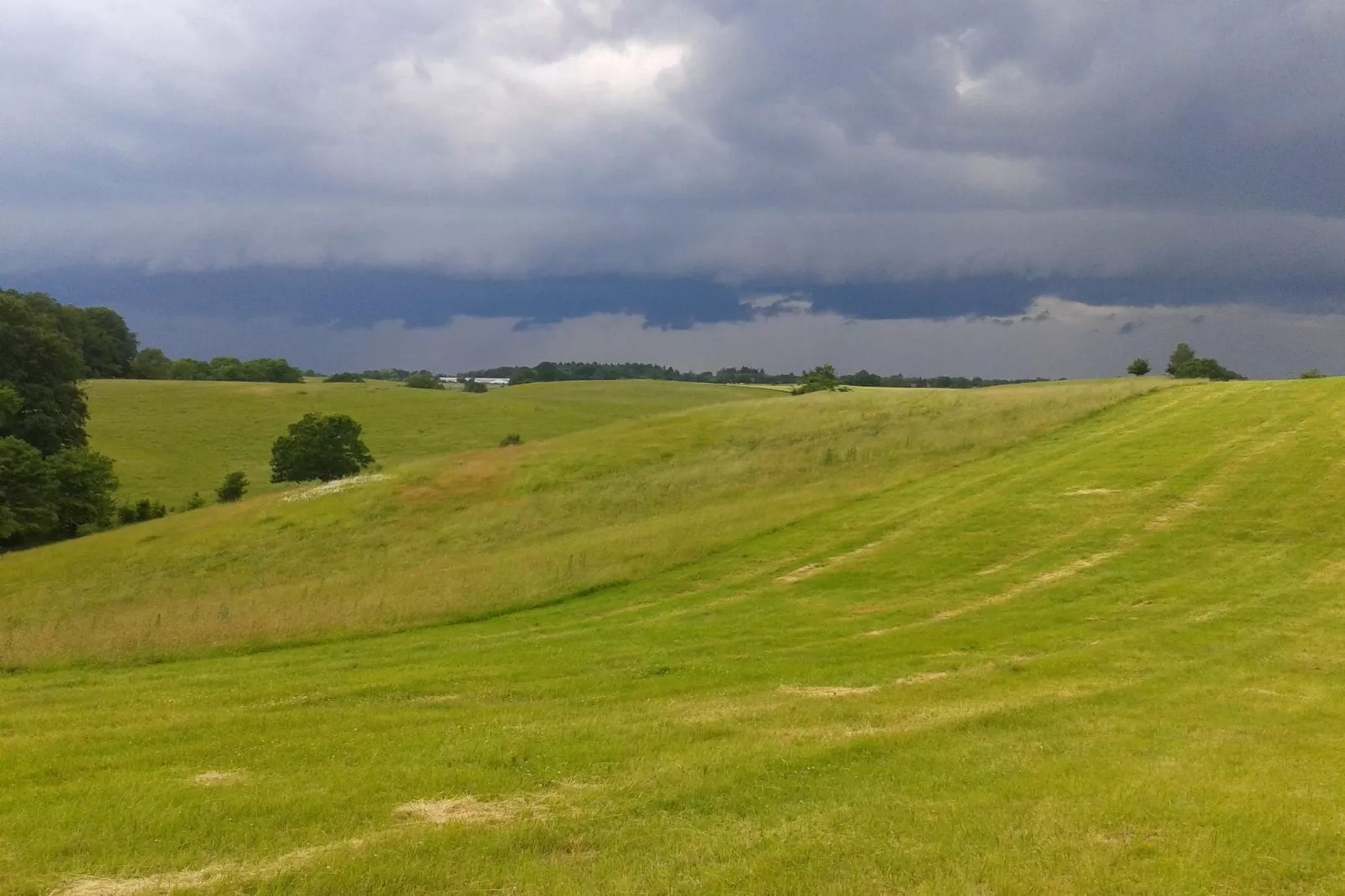 Am Haflingergestüt-Areas summer 1km