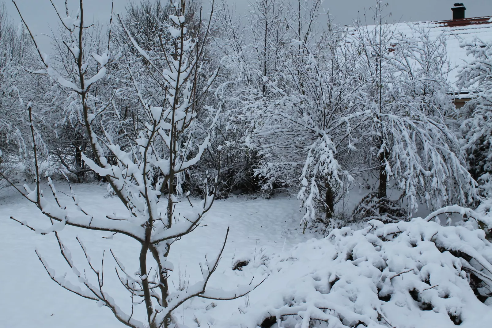 Am Haflingergestüt-Garden winter