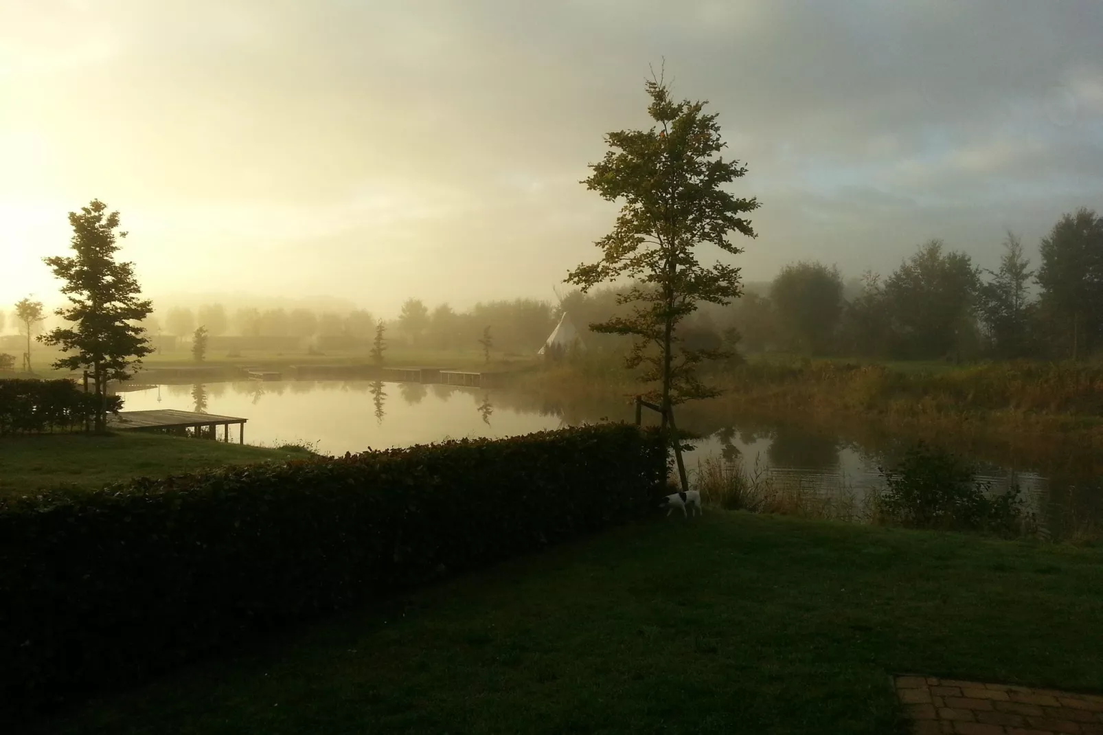 Vakantiepark Eigen Wijze 7-View summer