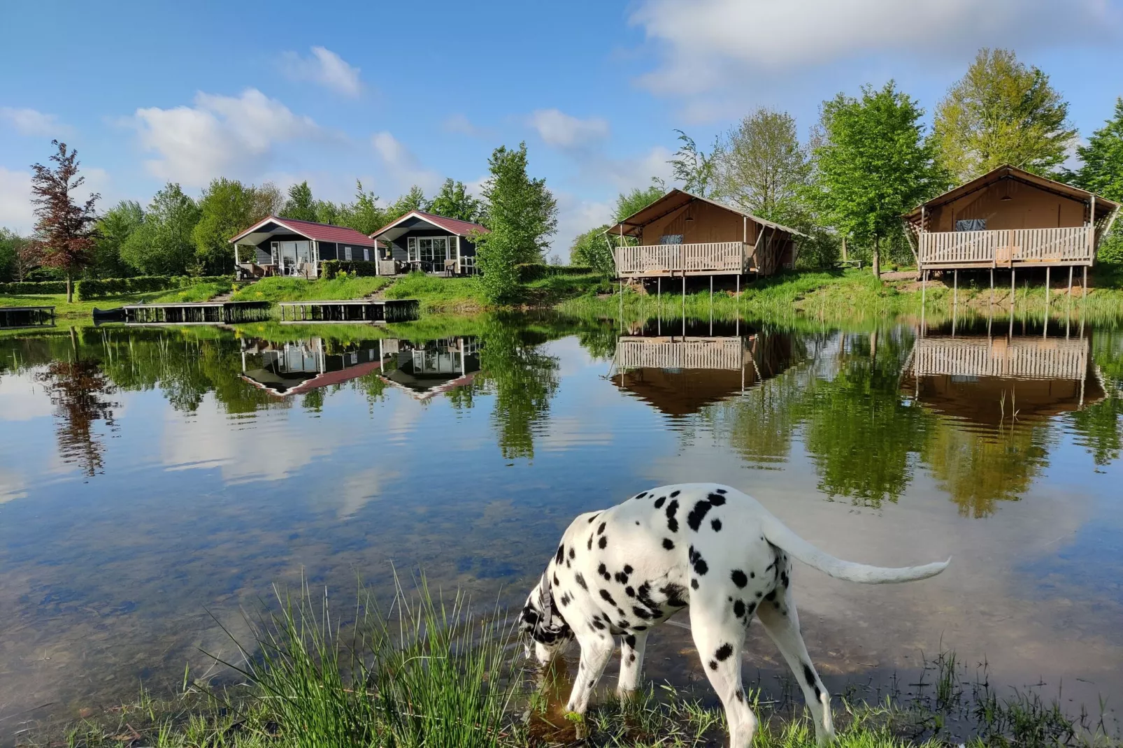 Vakantiepark Eigen Wijze 8-Exterior summer