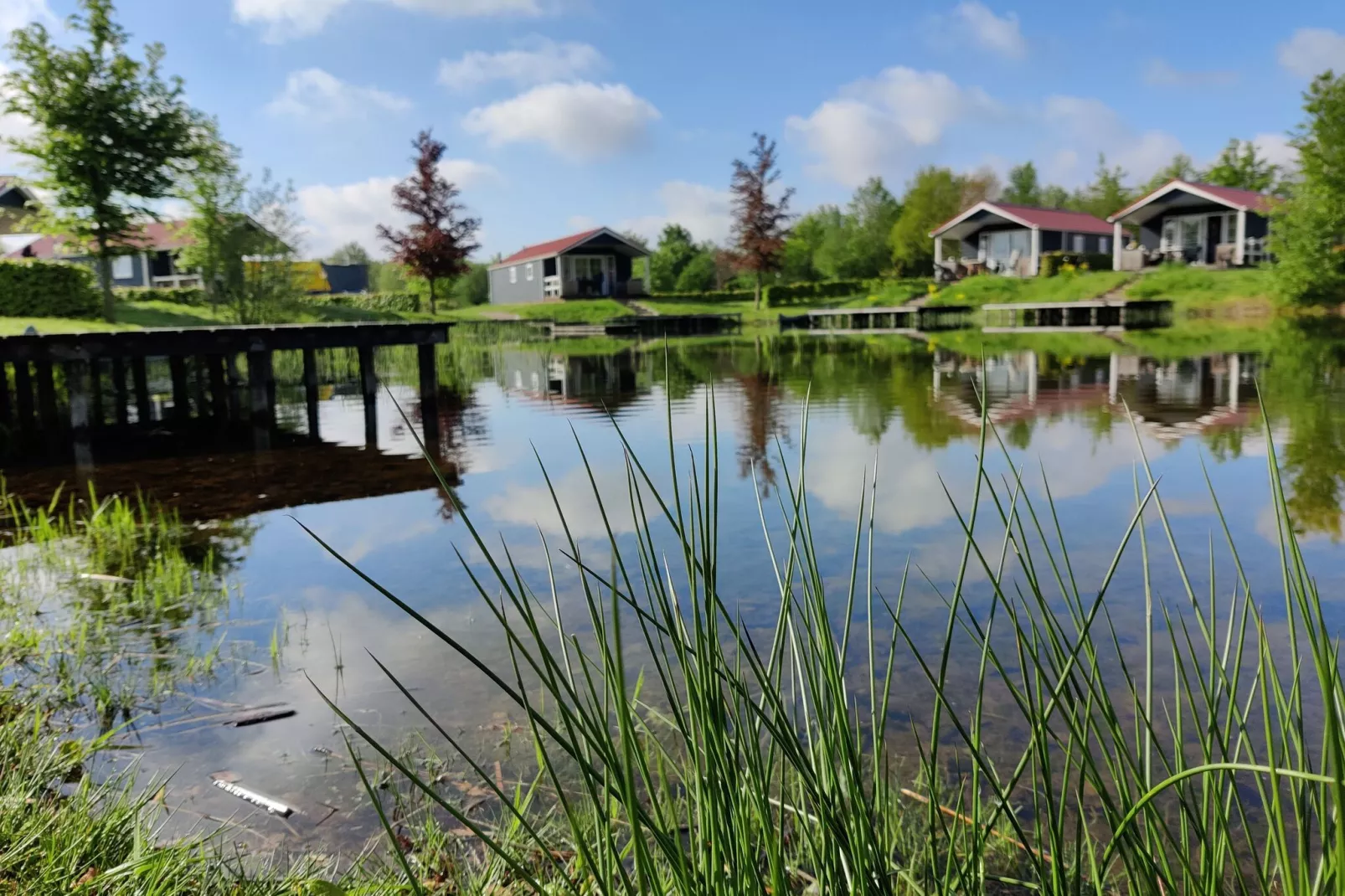 Vakantiepark Eigen Wijze 8-Areas summer 1km