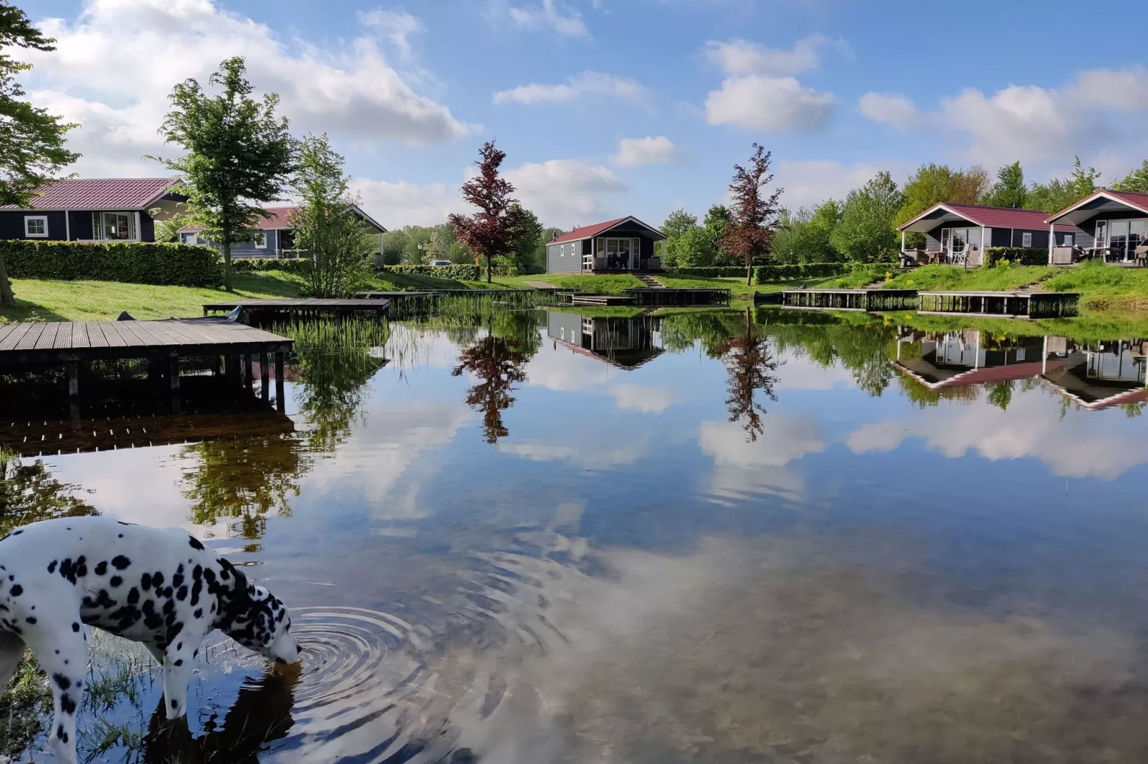 Vakantiepark Eigen Wijze 8-Areas summer 1km