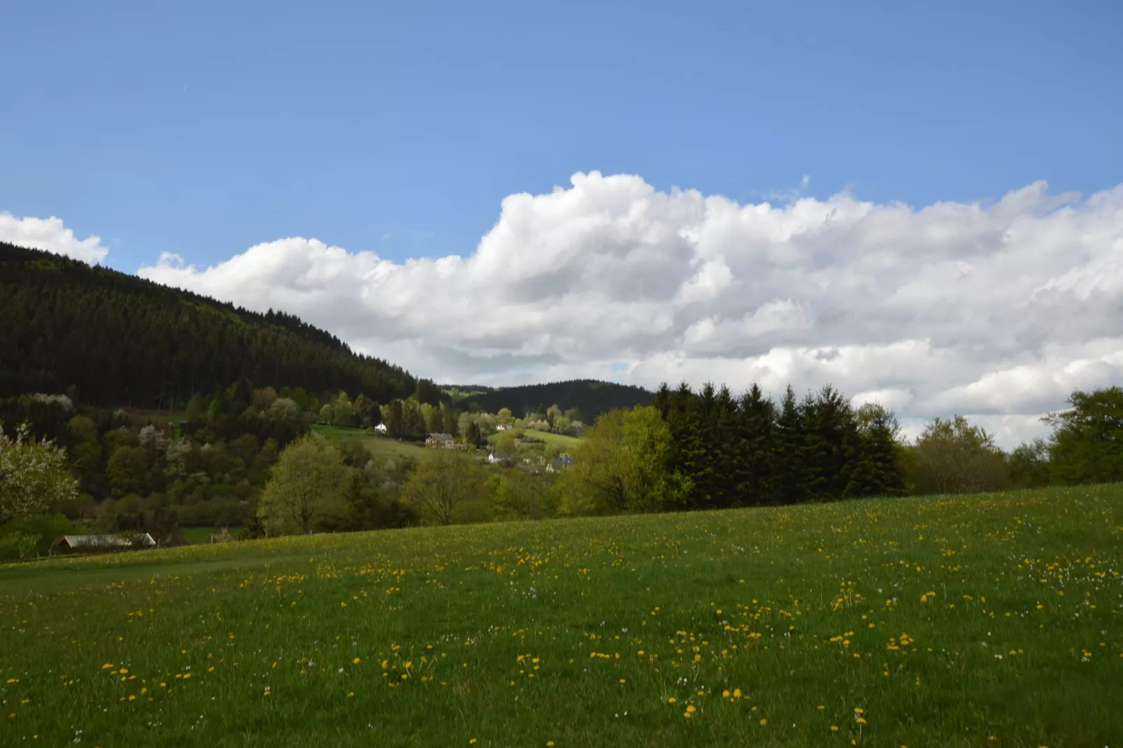 Im Schönen Kylltal-View summer