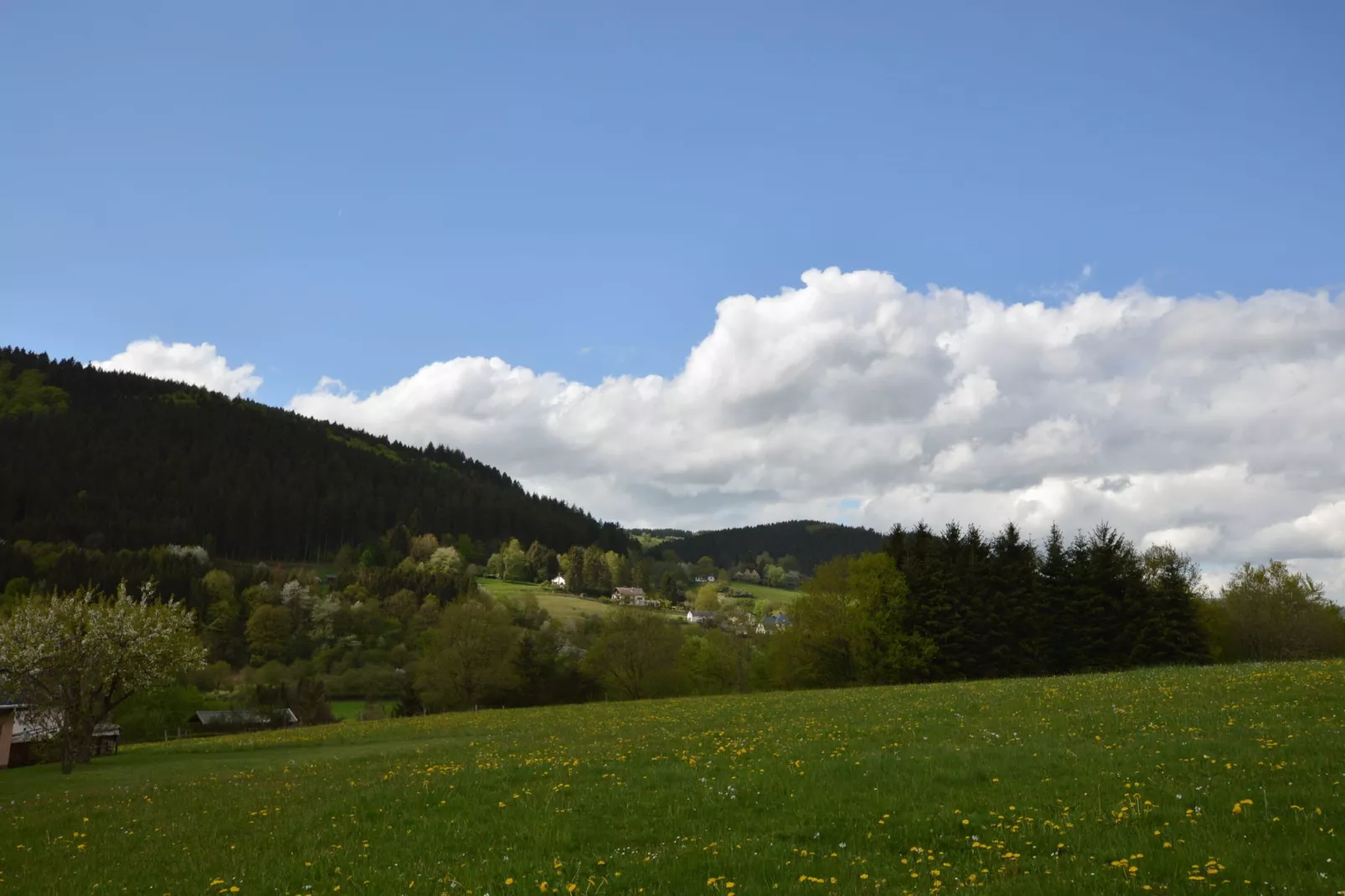 Im Schönen Kylltal-View summer