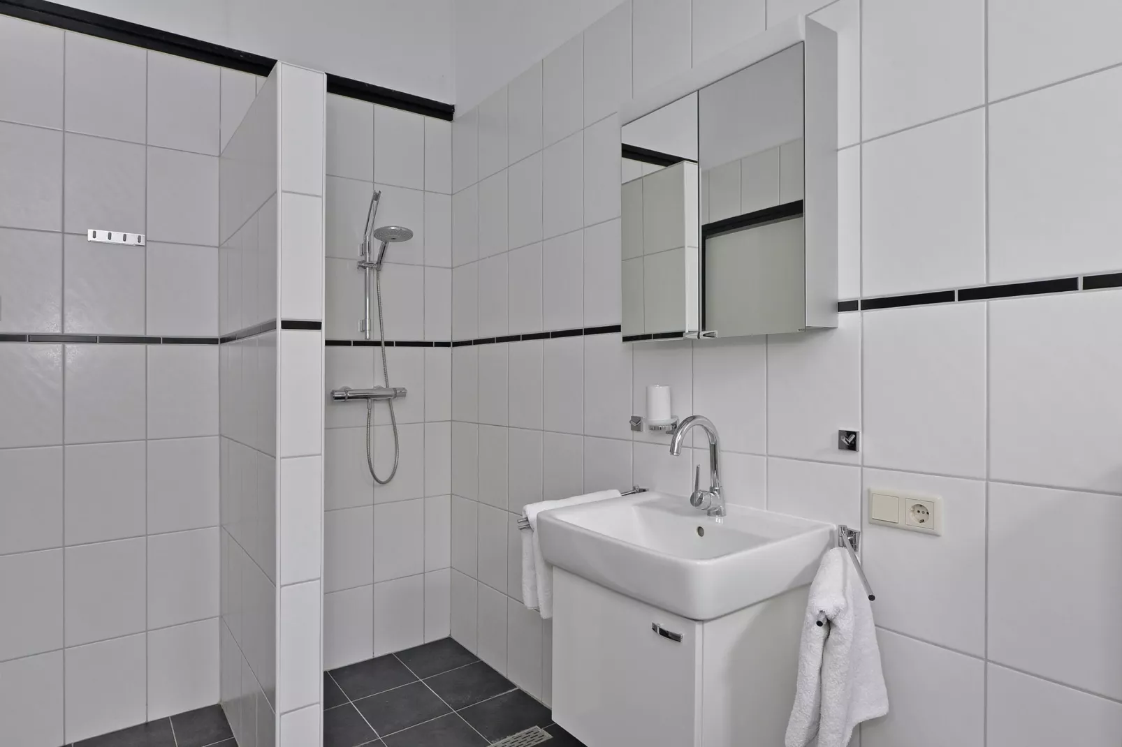 Cederlaan 8-Bathroom