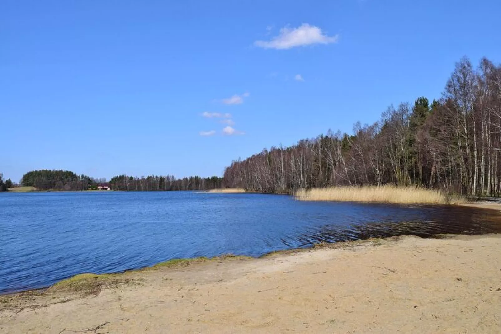 Holiday flat in Kamien-Wasserblick
