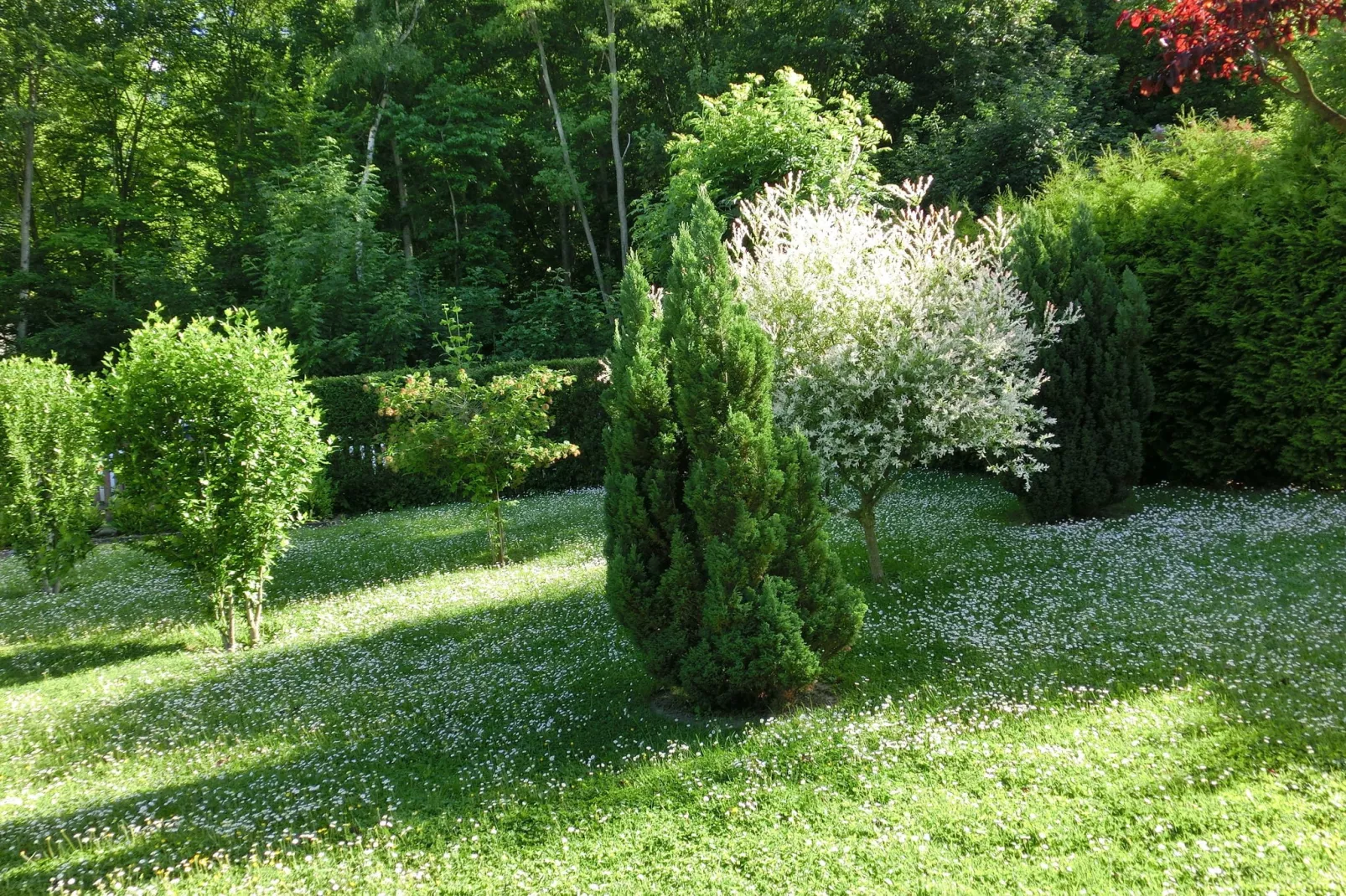 Spacious villa with private swimming pool-Gardens summer