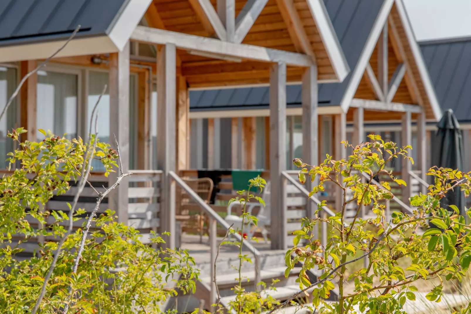 Beach Resort Nieuwvliet-Bad 3-Park facilities
