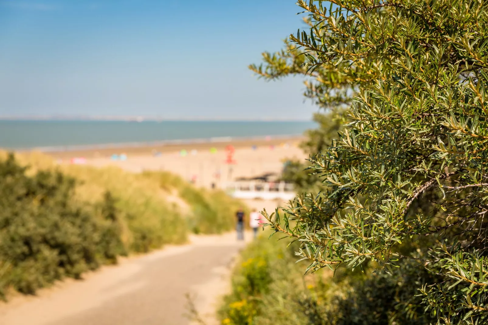 Beach Resort Nieuwvliet-Bad 3-Park facilities