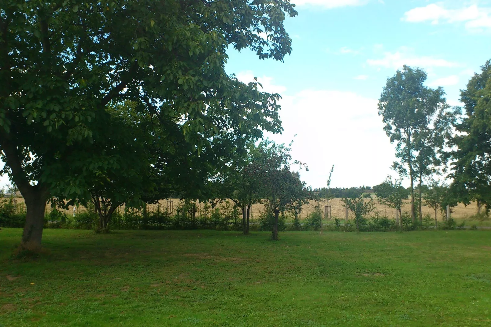 Opperode-Gardens summer