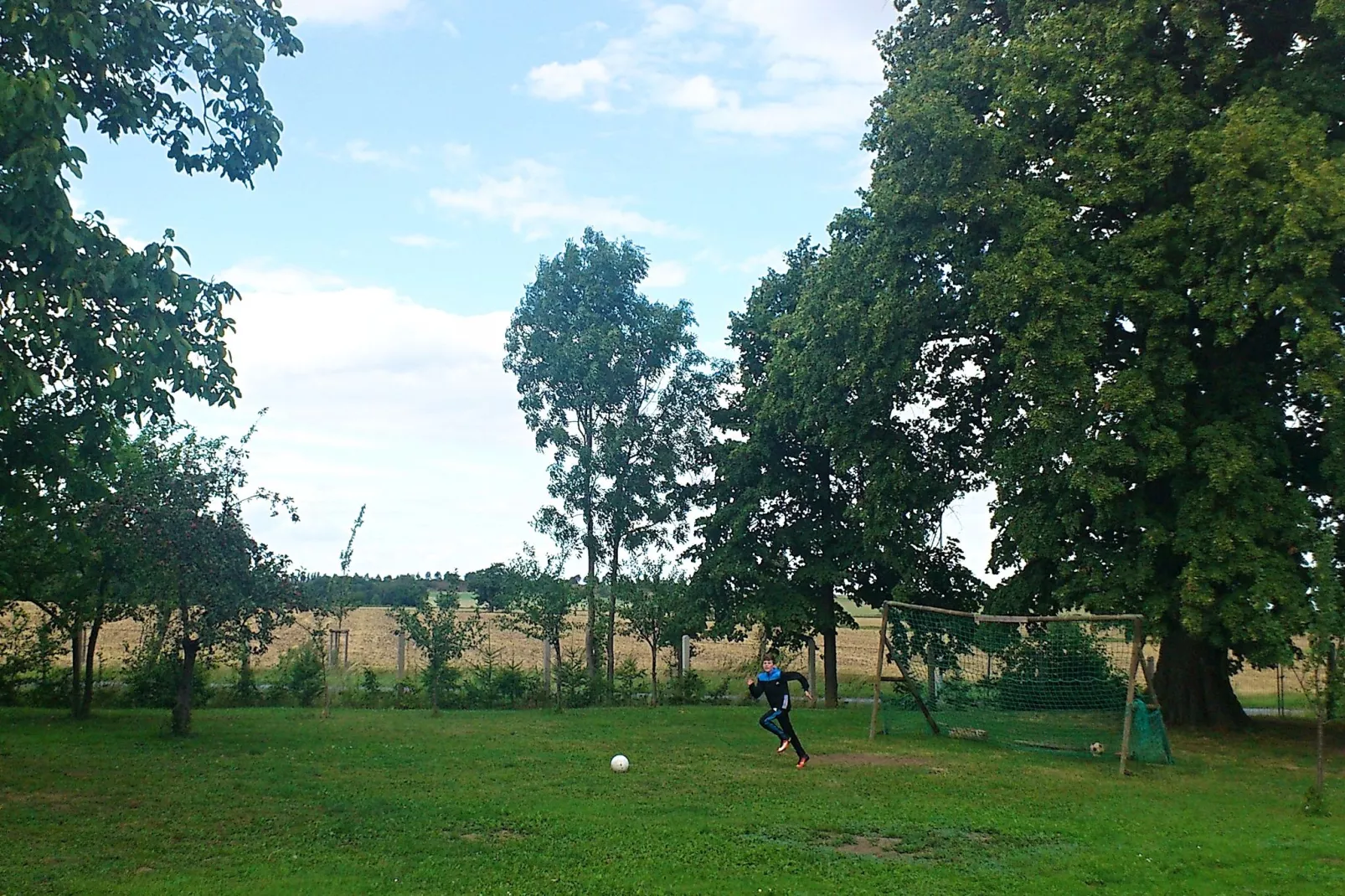 Opperode-Gardens summer
