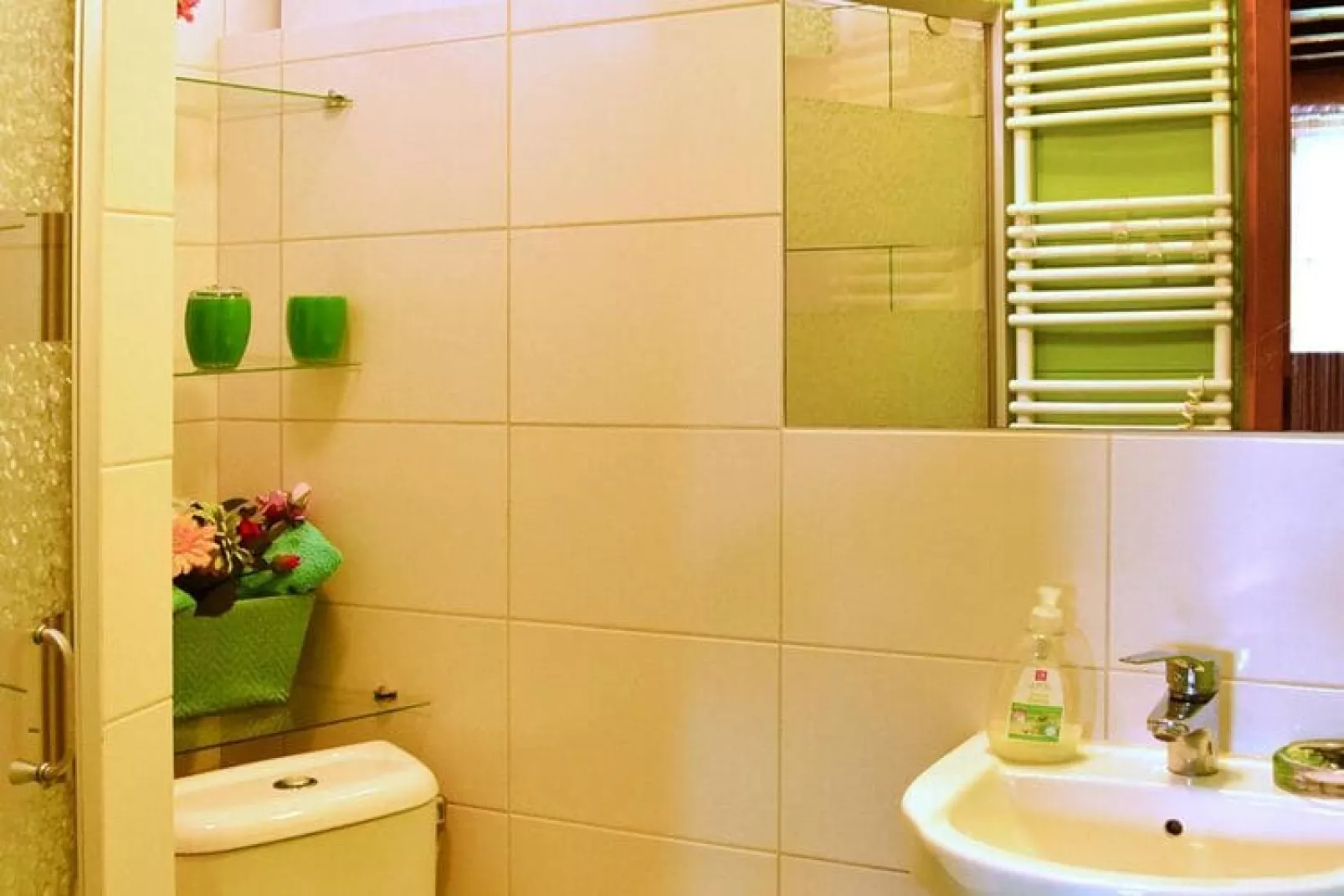 Holiday home Bieszkowice-Bathroom