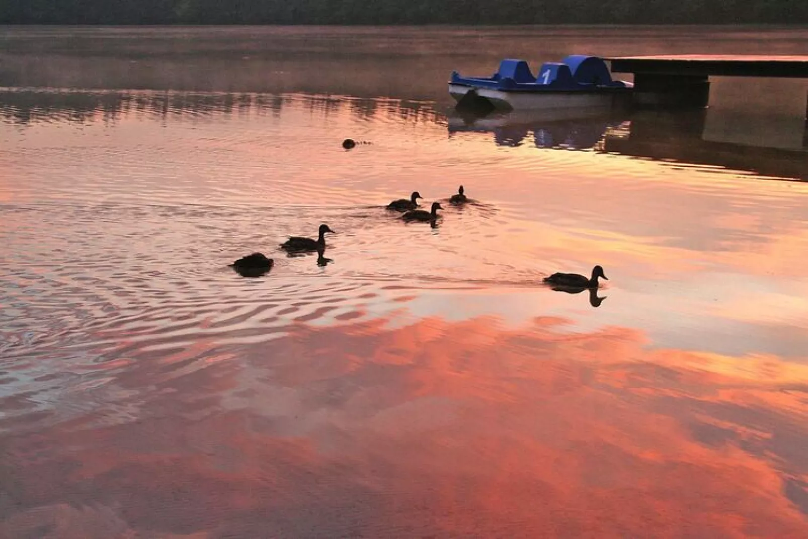 Bungalow Bieszkowice-Water view