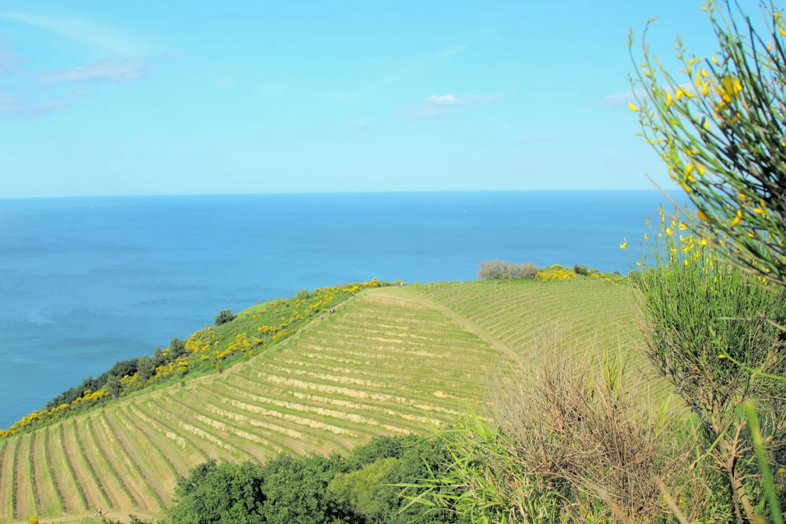 Panorama Il Mare-Areas summer 20km