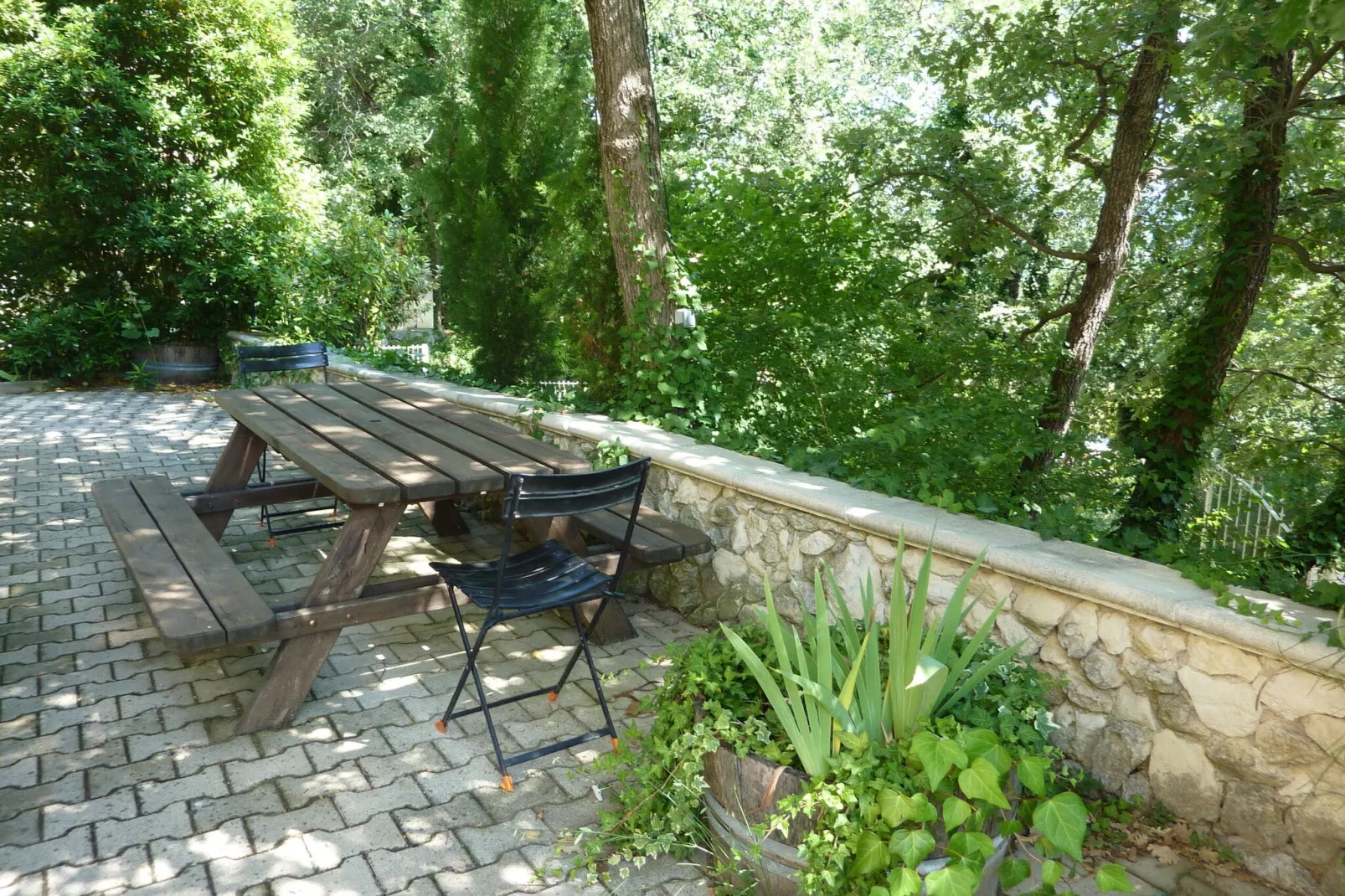 Grand villa St Paul-Gardens summer