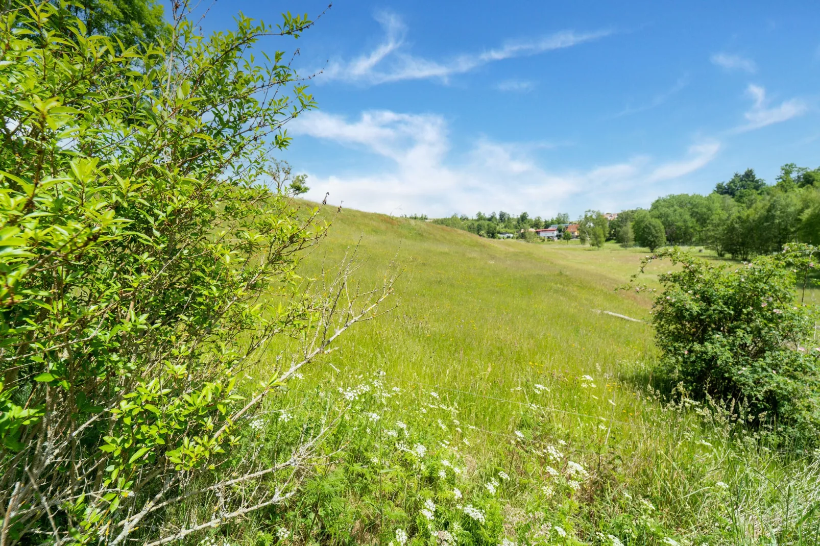 Panoramablick-Gebiete Sommer 1 km