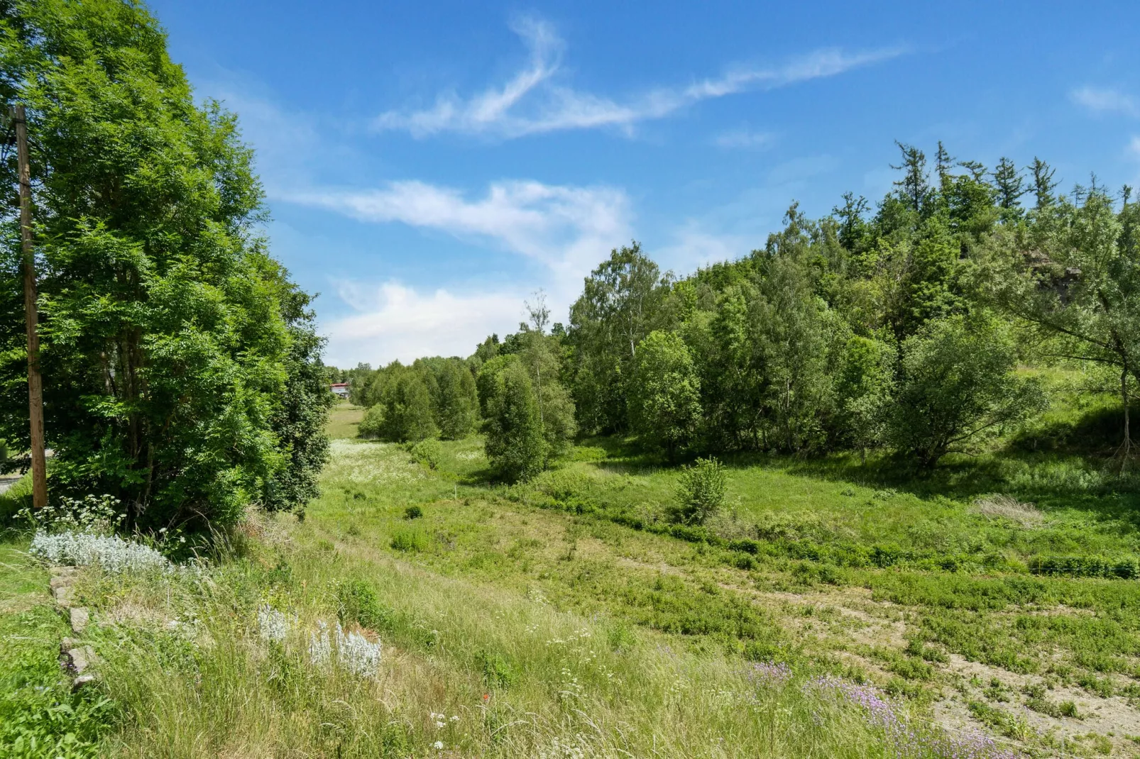 Panoramablick-Gebiete Sommer 1 km