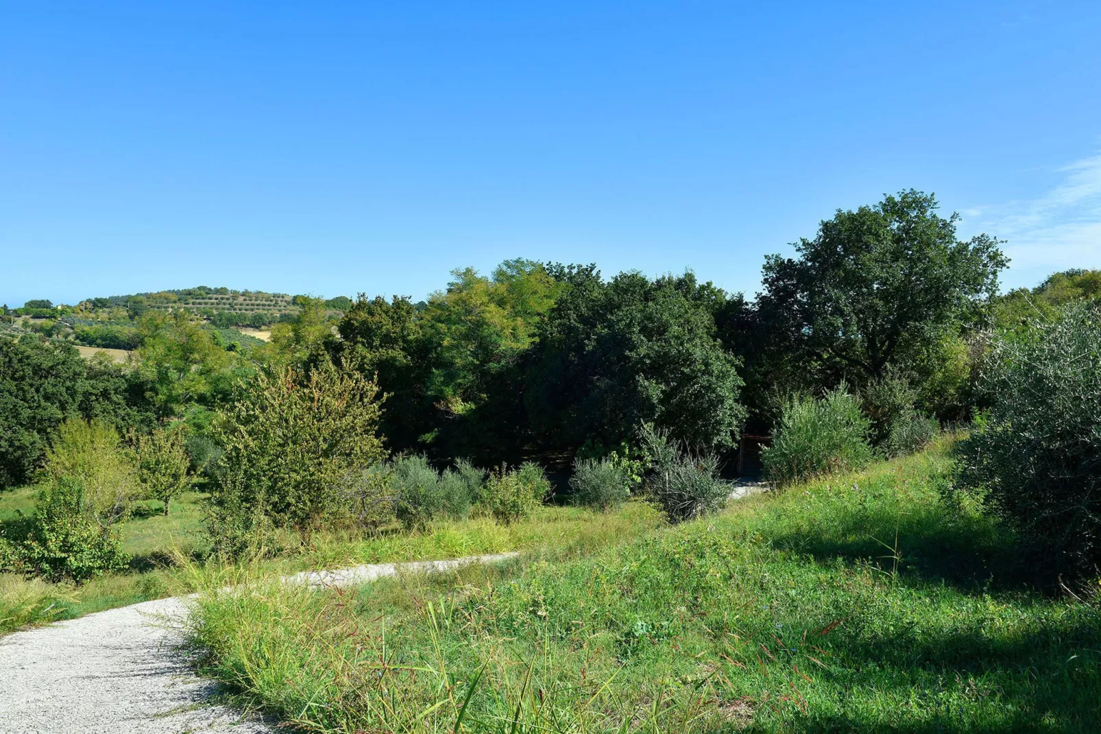 Villa Poggio San Giacomo-Zones d'été à 1 km
