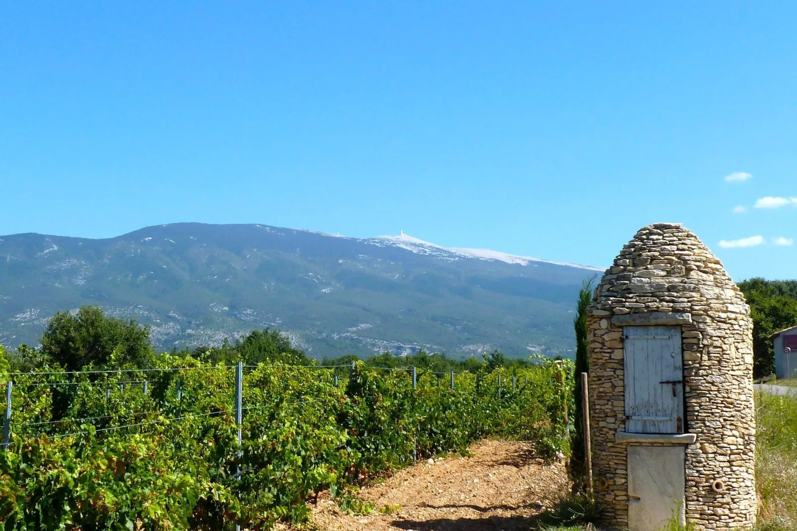 Ferienhaus in Vaison-la-Romaine-Areas summer 20km
