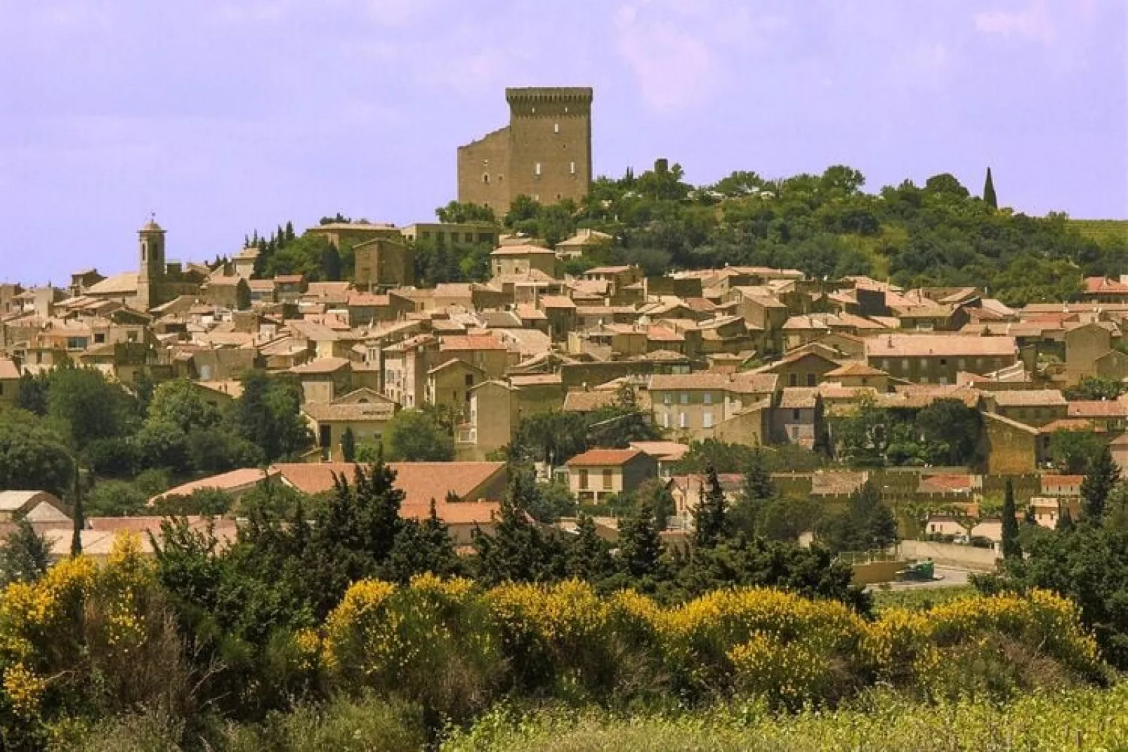 Ferienhaus in Vaison-la-Romaine-Areas summer 20km